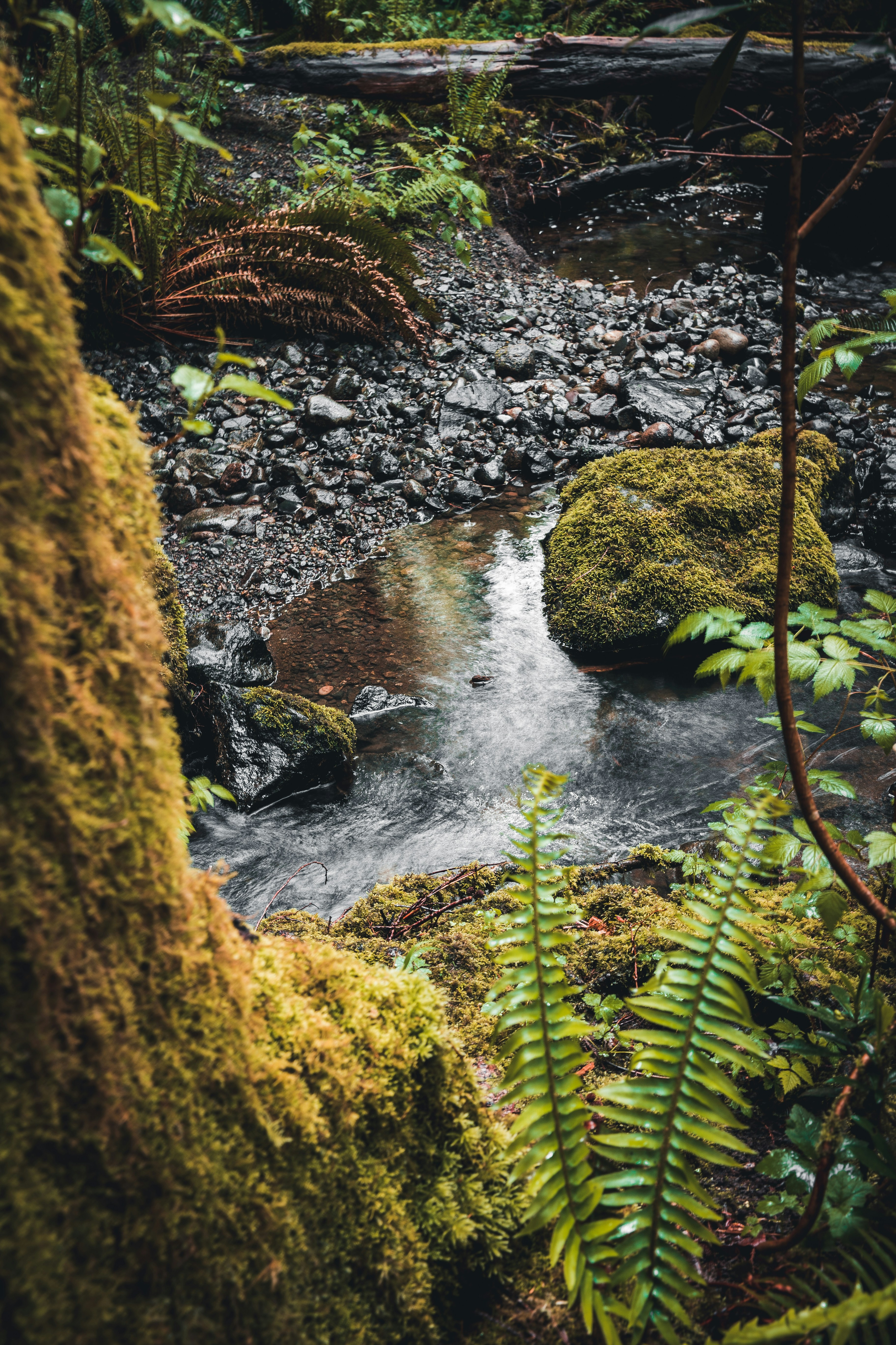 Photo by visualsbyroyalz