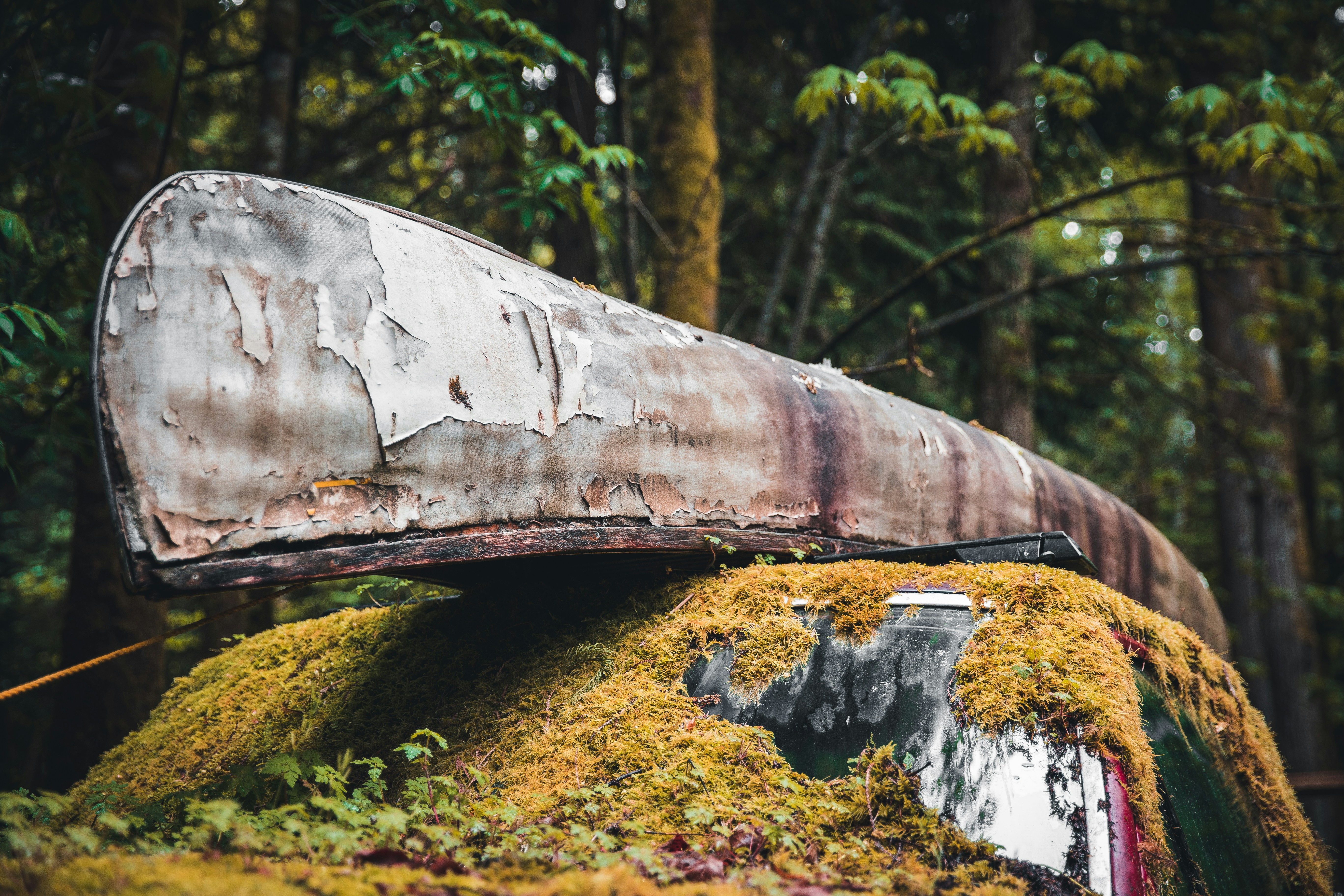 Photo by visualsbyroyalz