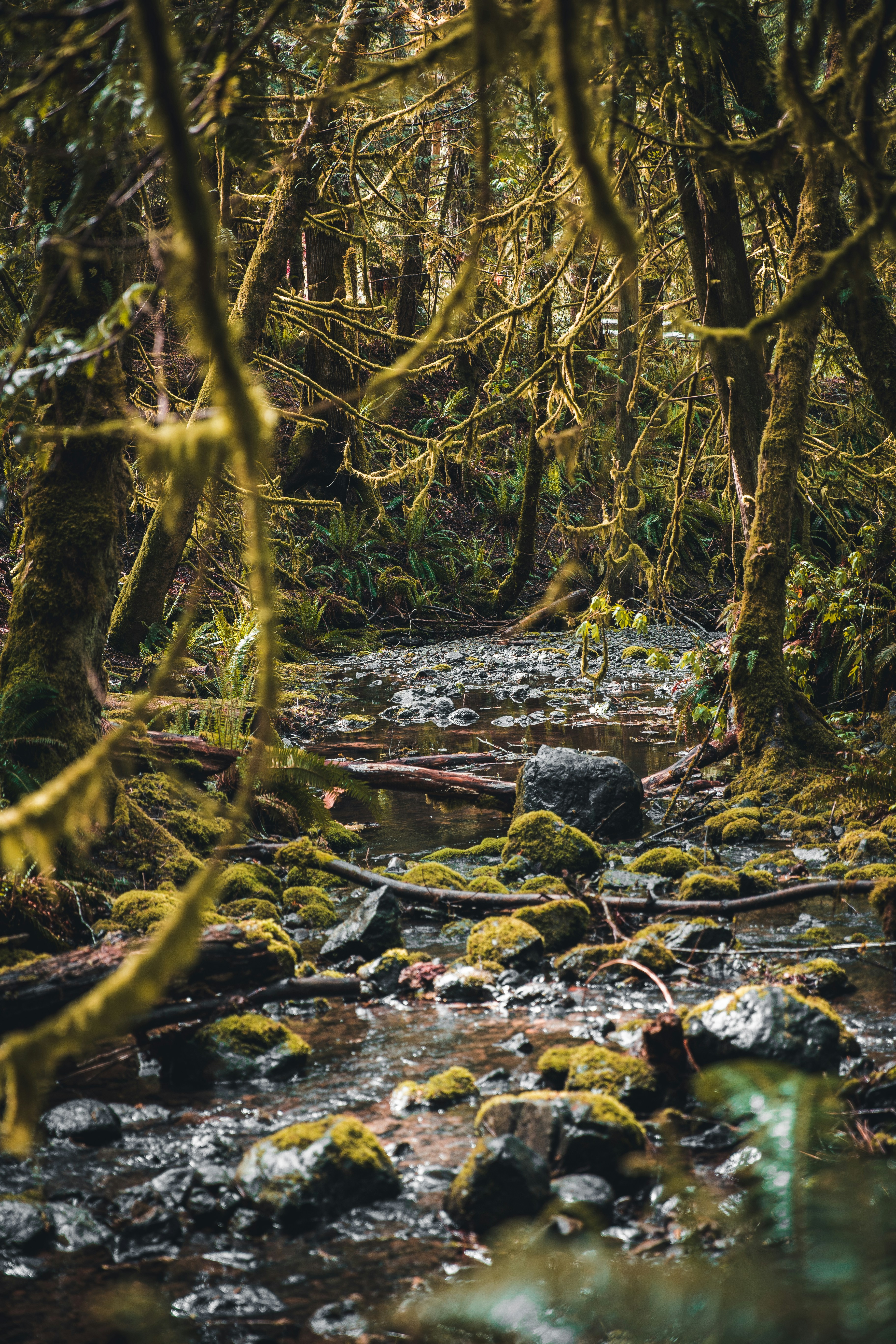 Photo by visualsbyroyalz