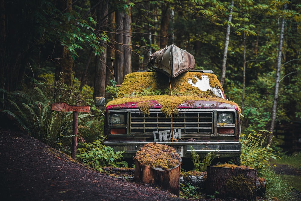 an old truck covered in moss in the woods