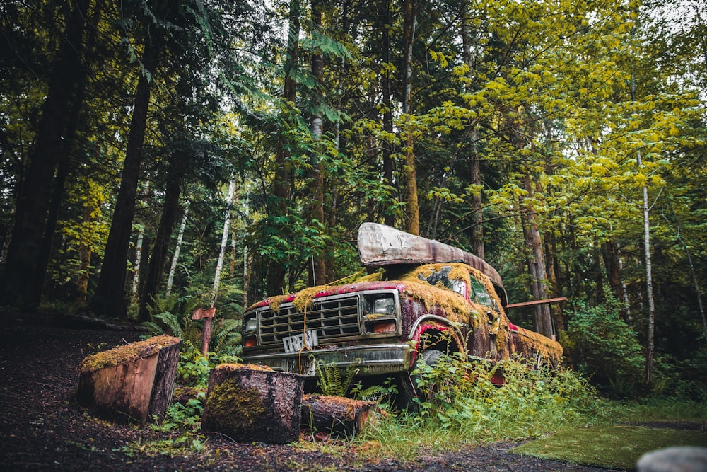 an old truck with a tree on top of it in the woods