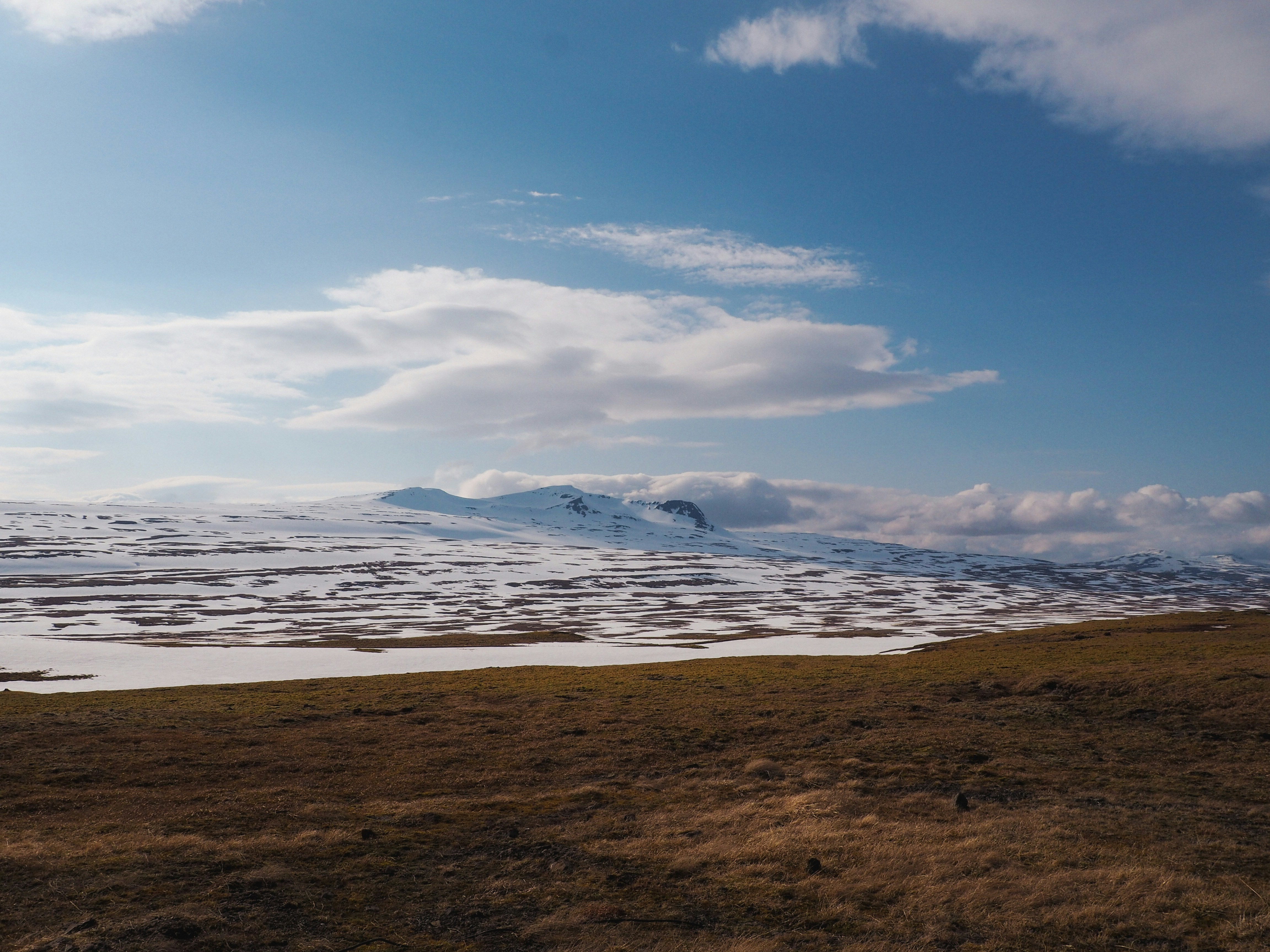 Photo by el_morillas