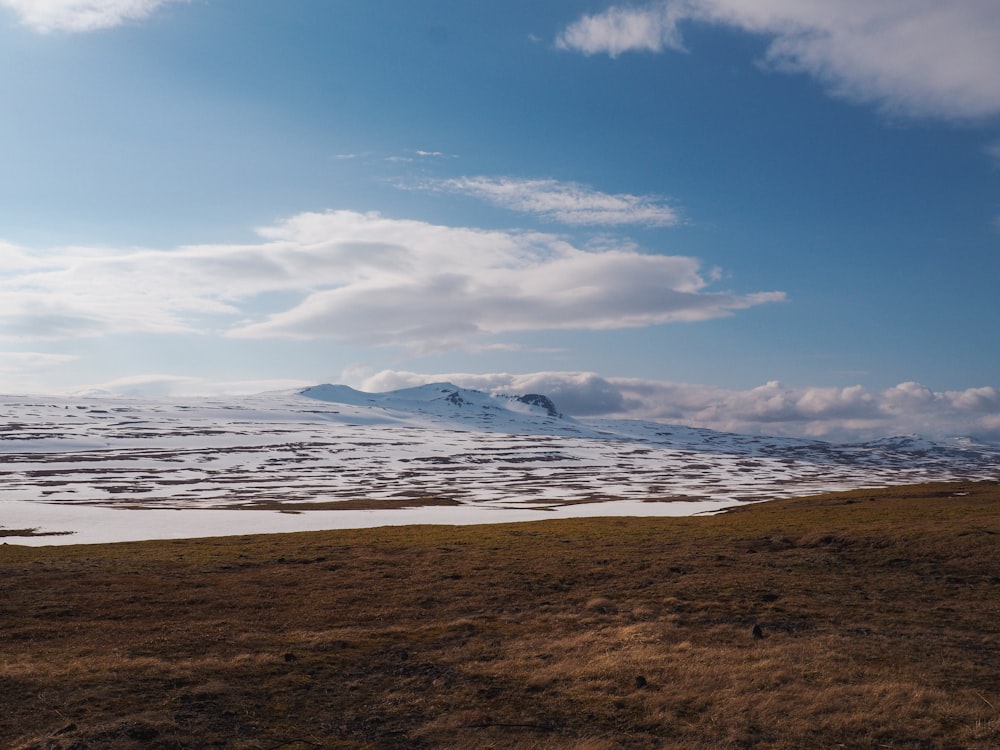 a field with a snow covered mountain in the distance