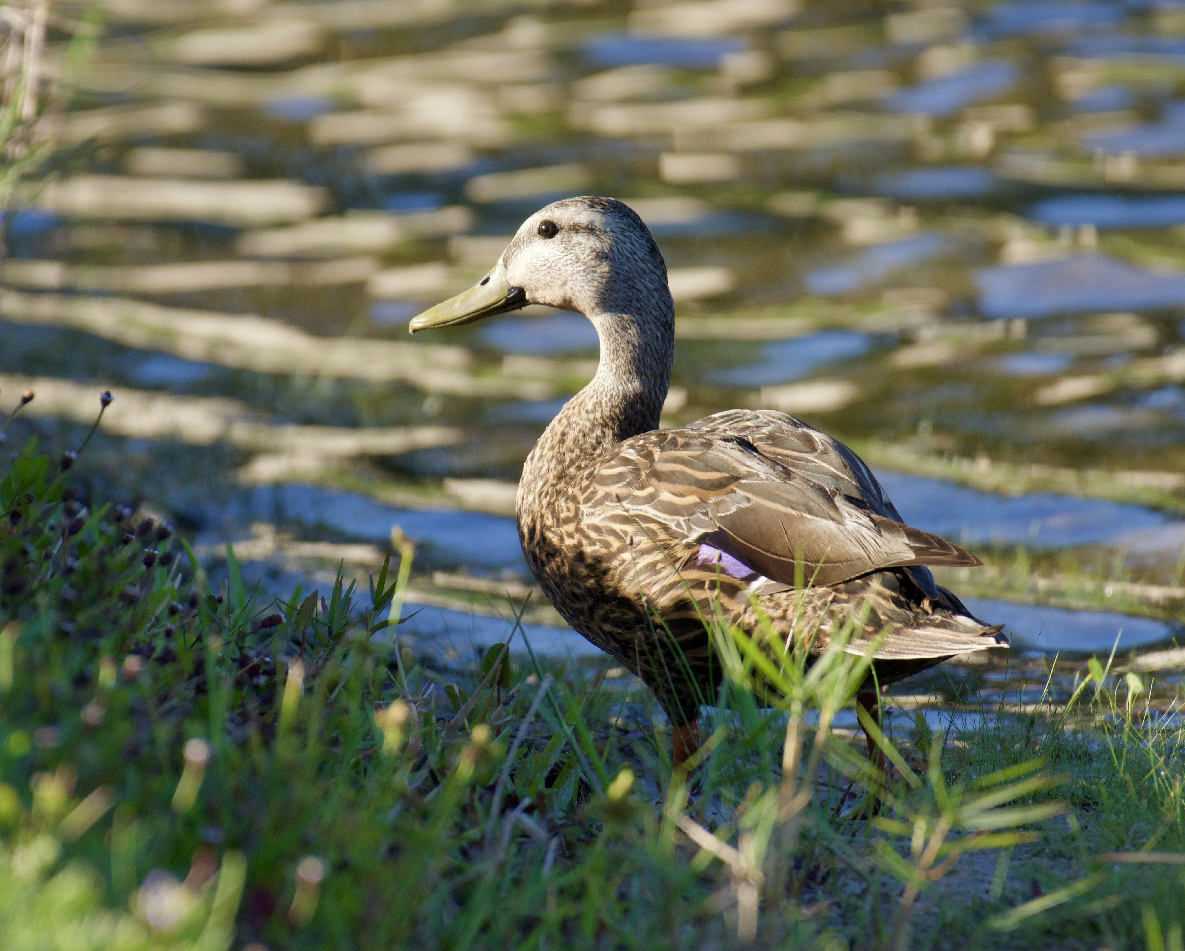 Photo by juliana_chapman