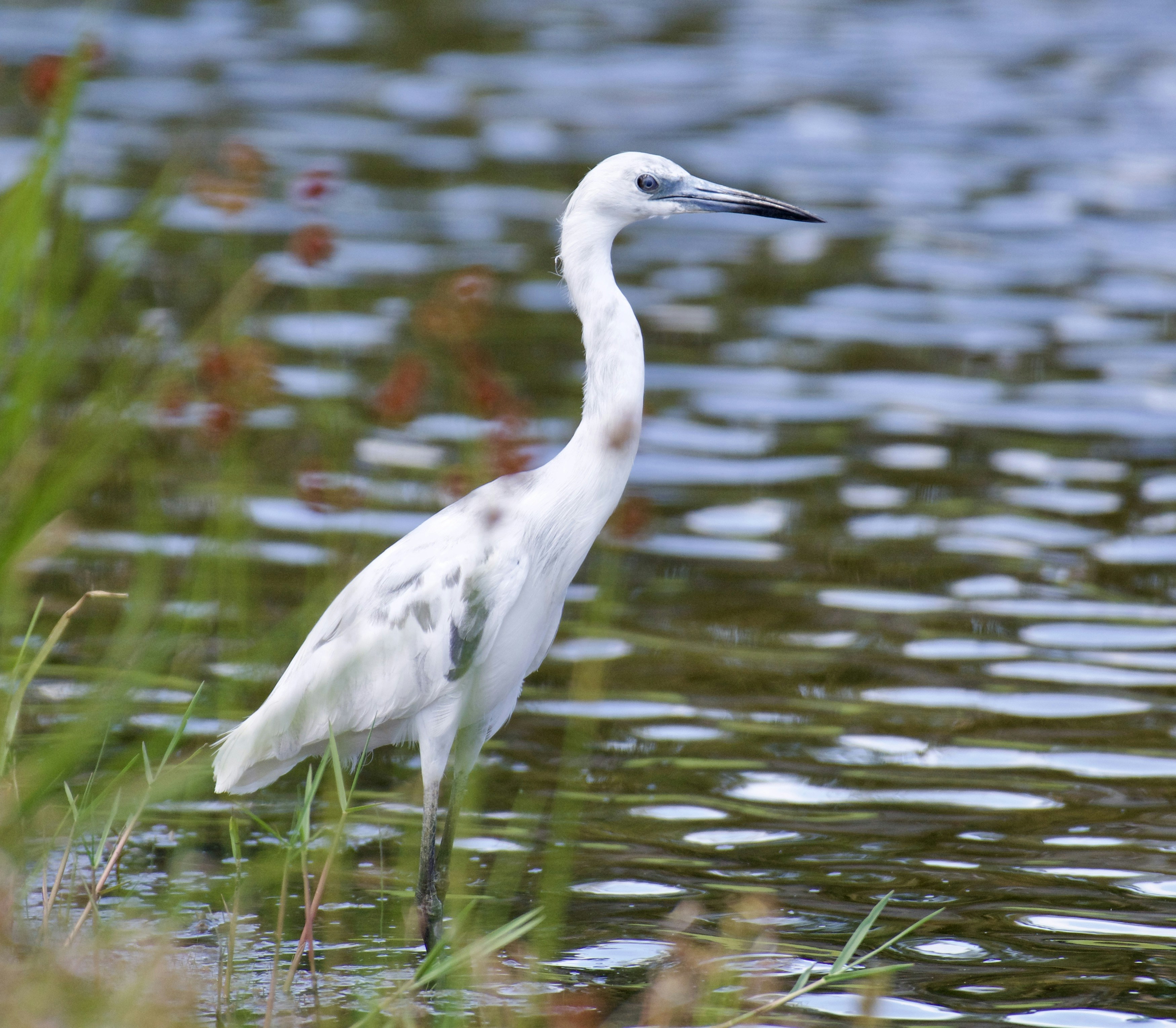 Photo by juliana_chapman