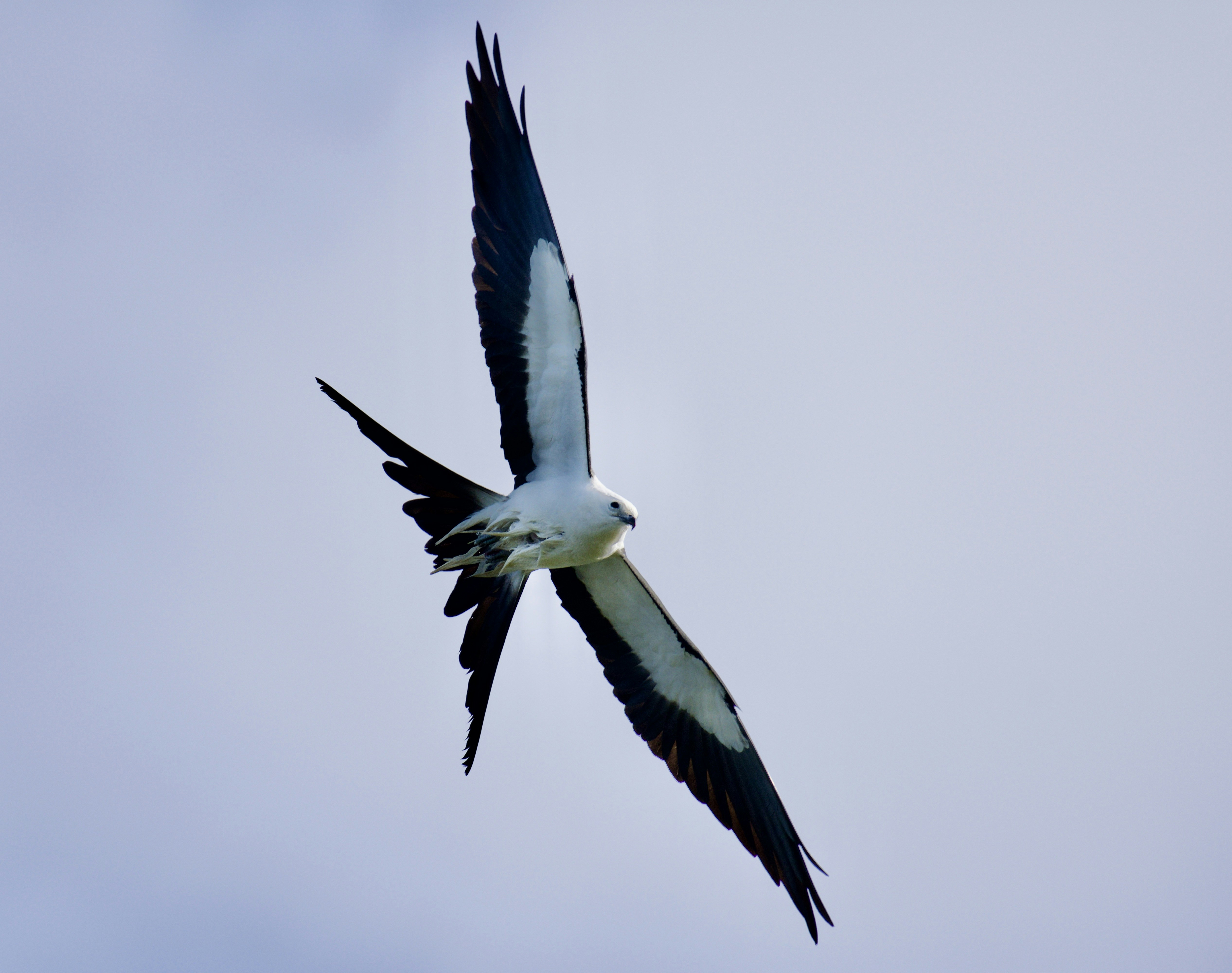 Photo by juliana_chapman