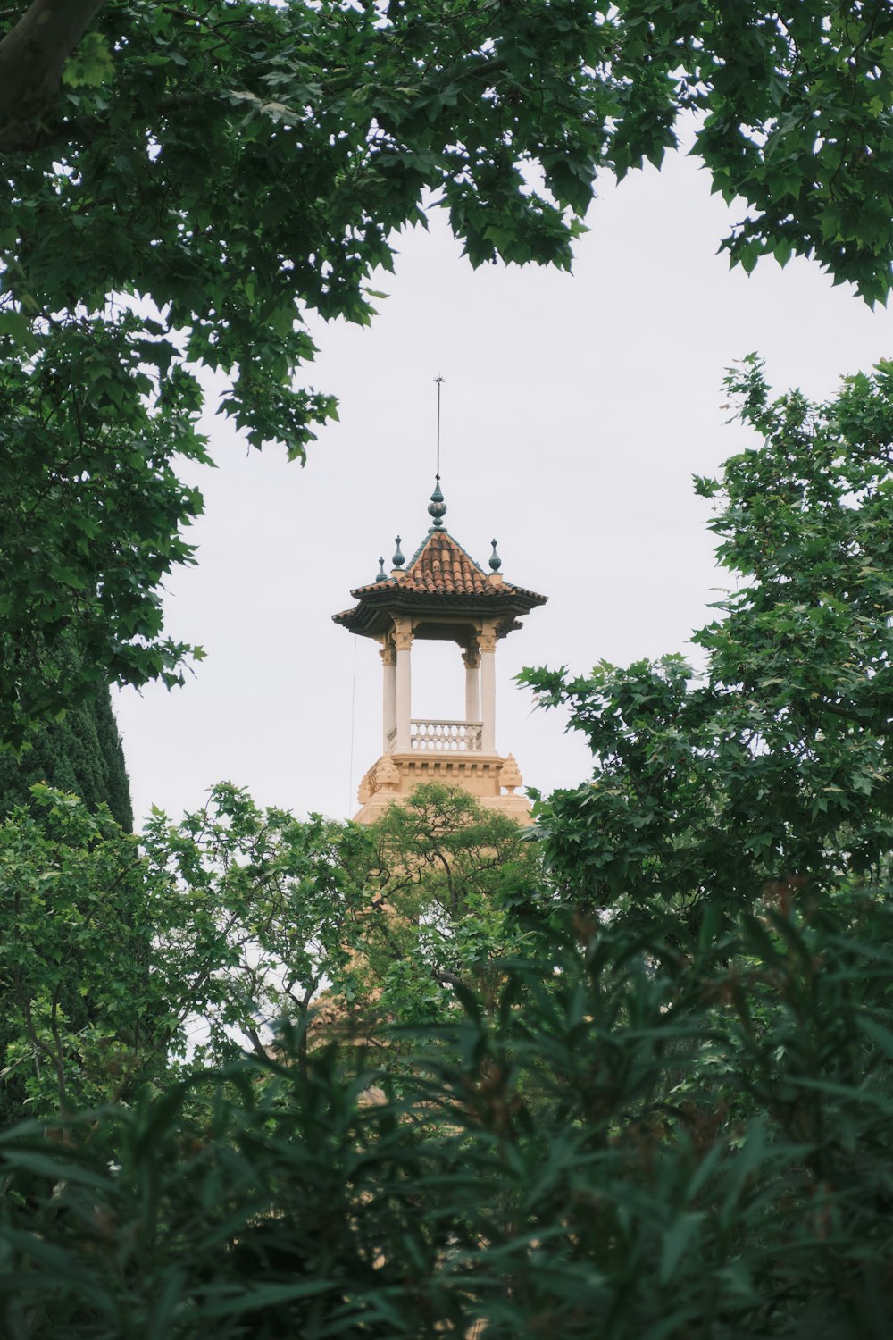 a clock tower is seen through the trees