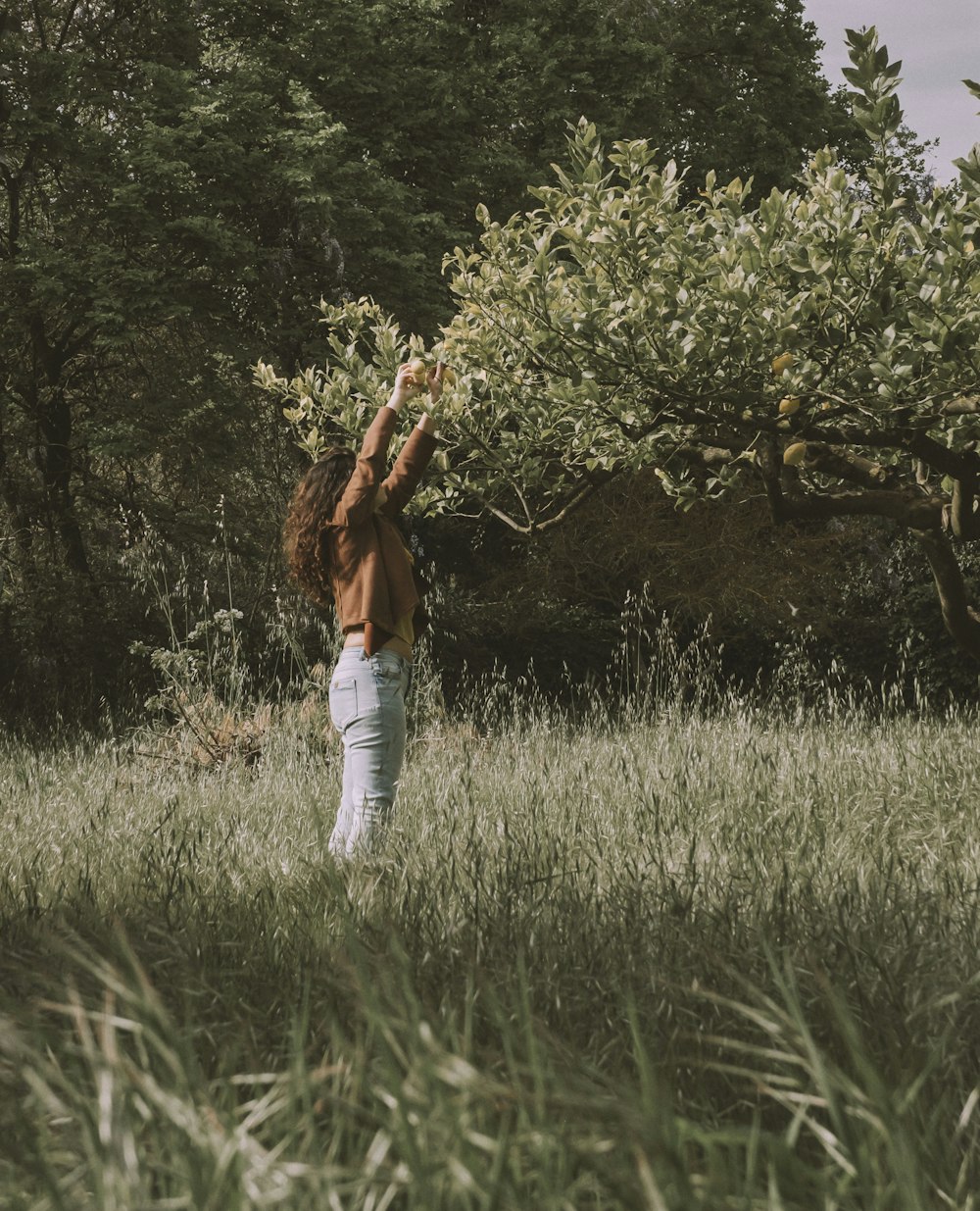 a woman standing in a field reaching up into a tree