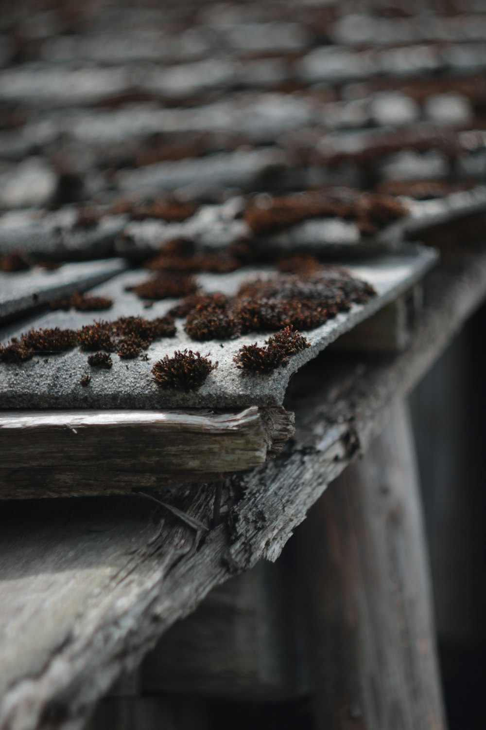 a wooden table topped with lots of dirt