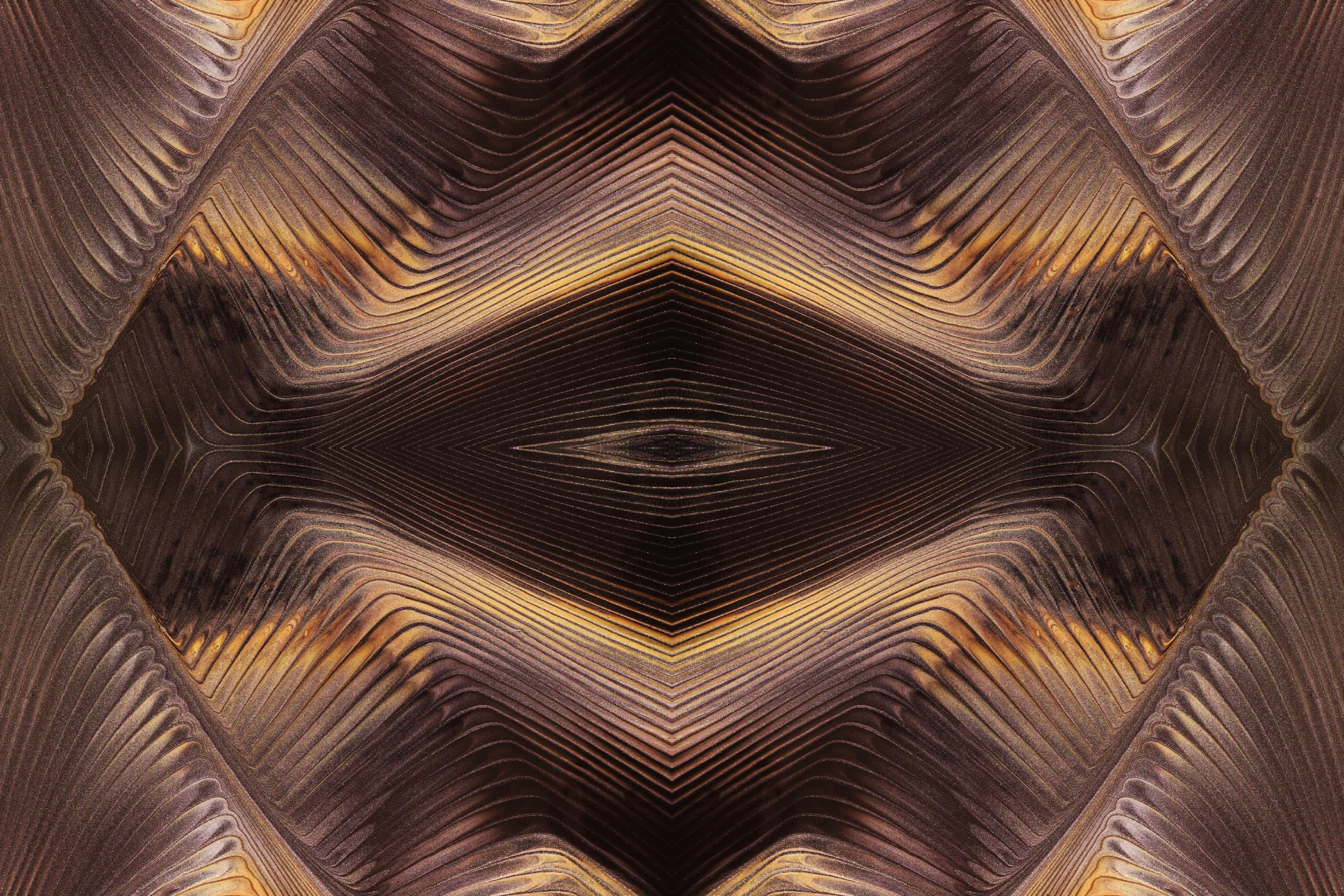 Photo by susan_wilkinson