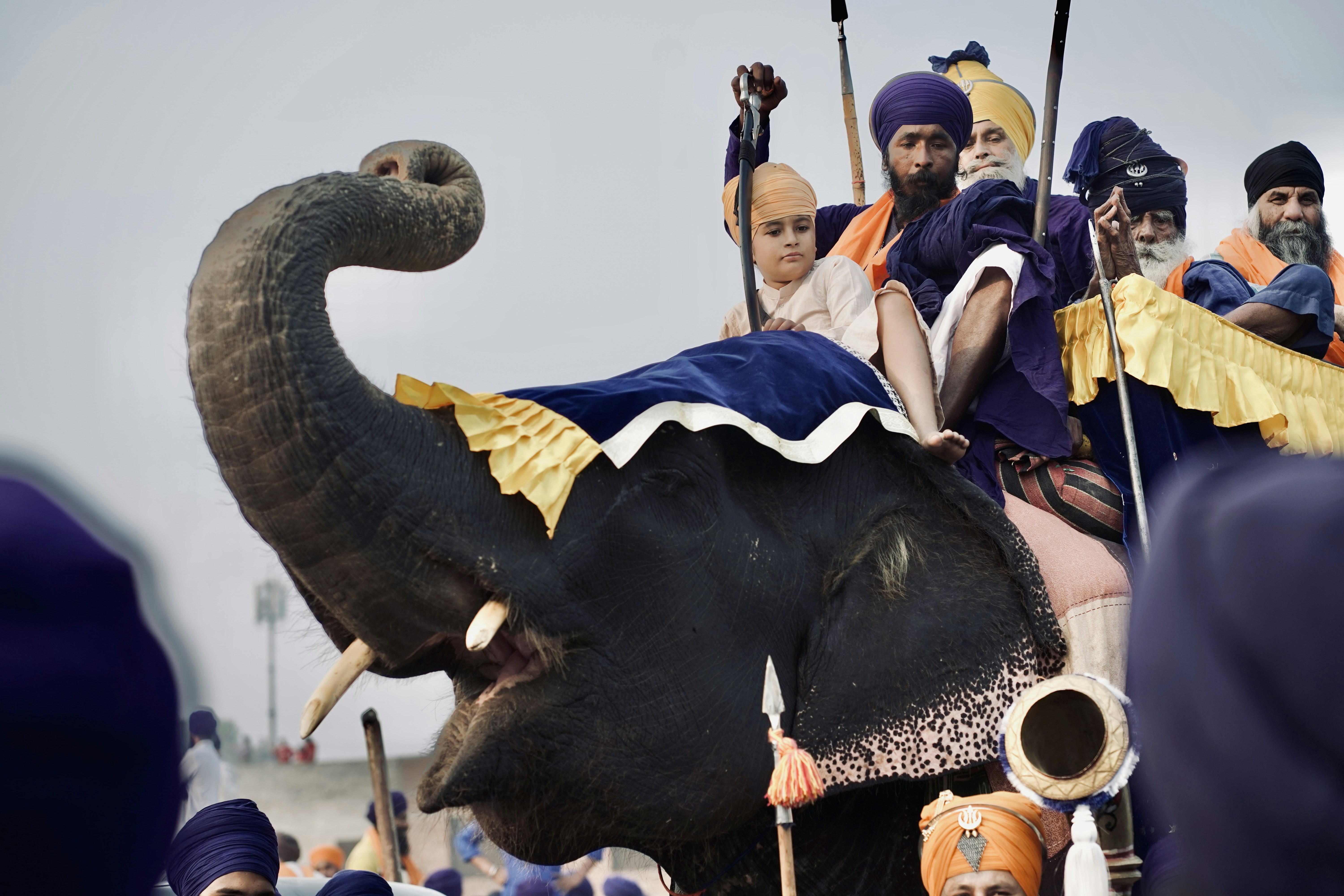 Photo by harjapsinghphotography_1