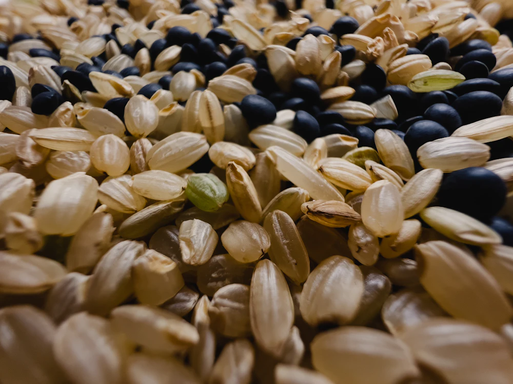 A close-up pile of raw seeds and grains used in natural pet food