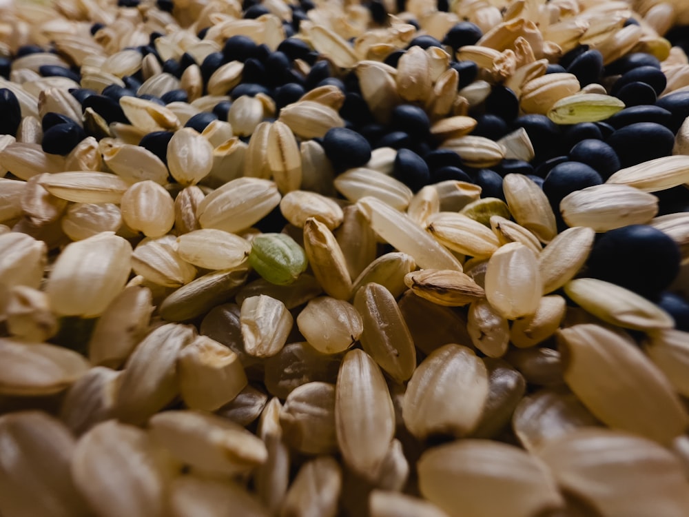 a close up of a bunch of grains