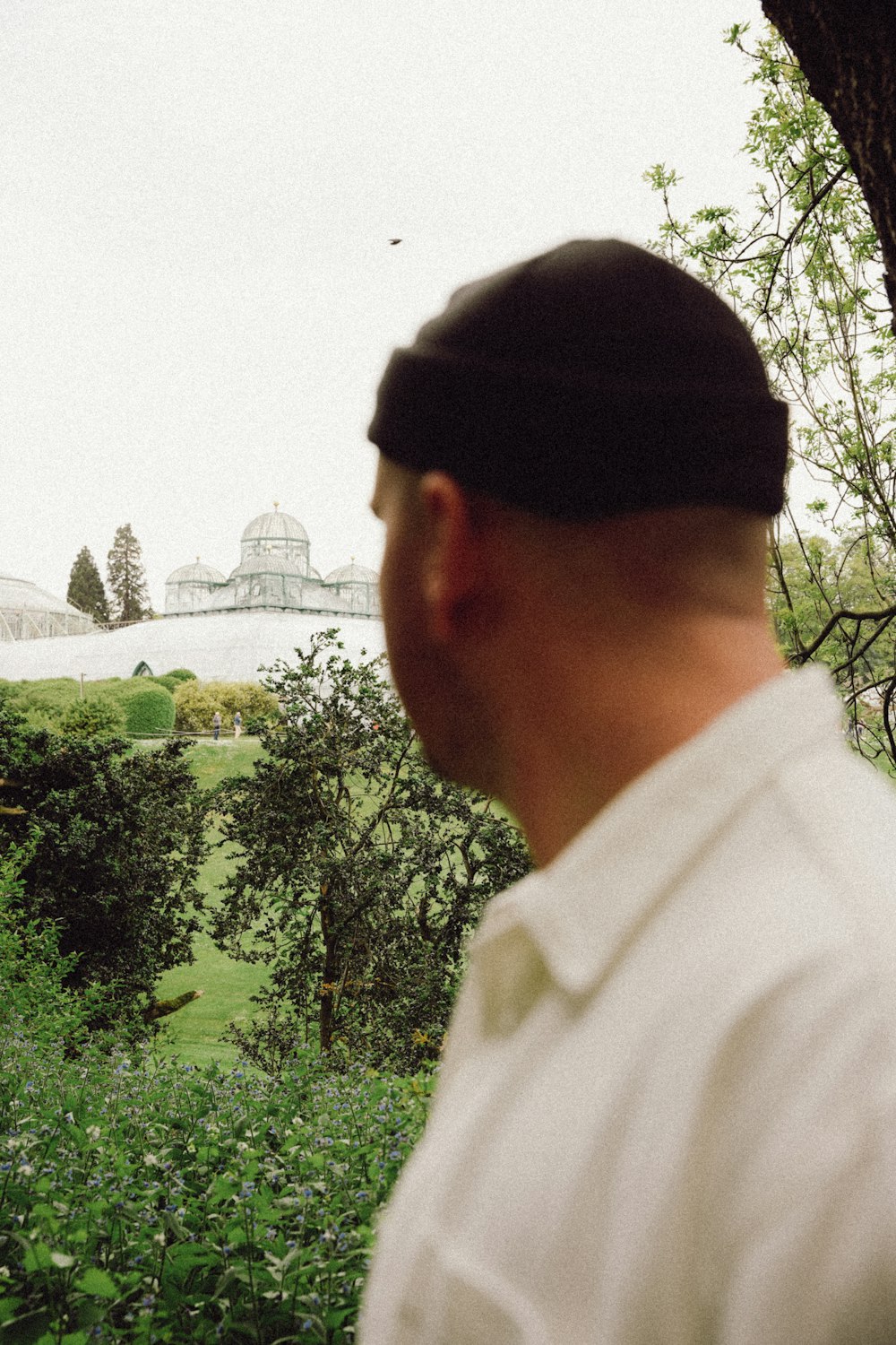 a man standing next to a tree in a lush green field