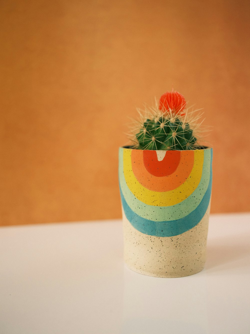 a potted plant with a rainbow painted on it