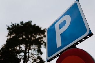 a close up of a street sign with a tree in the background