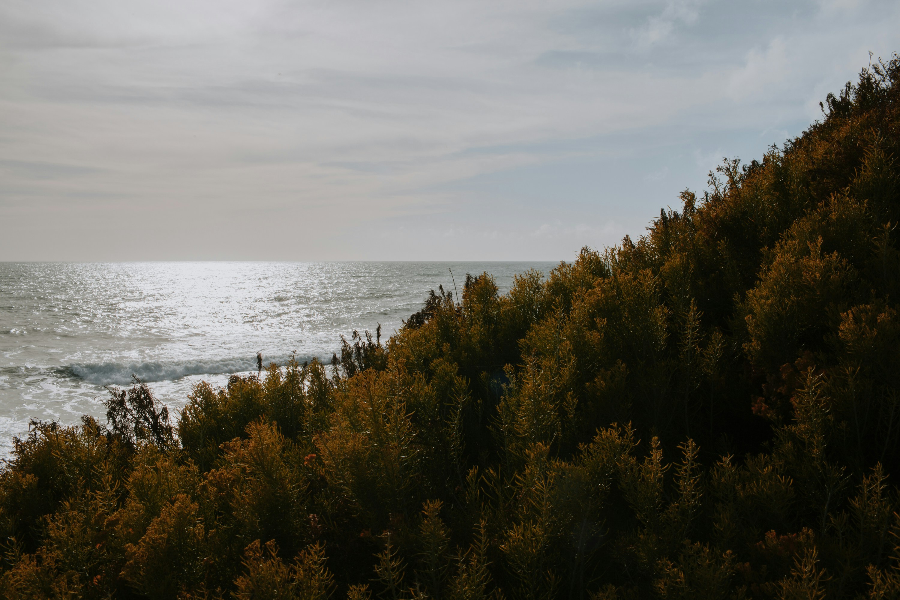 Photo by stockholmparis