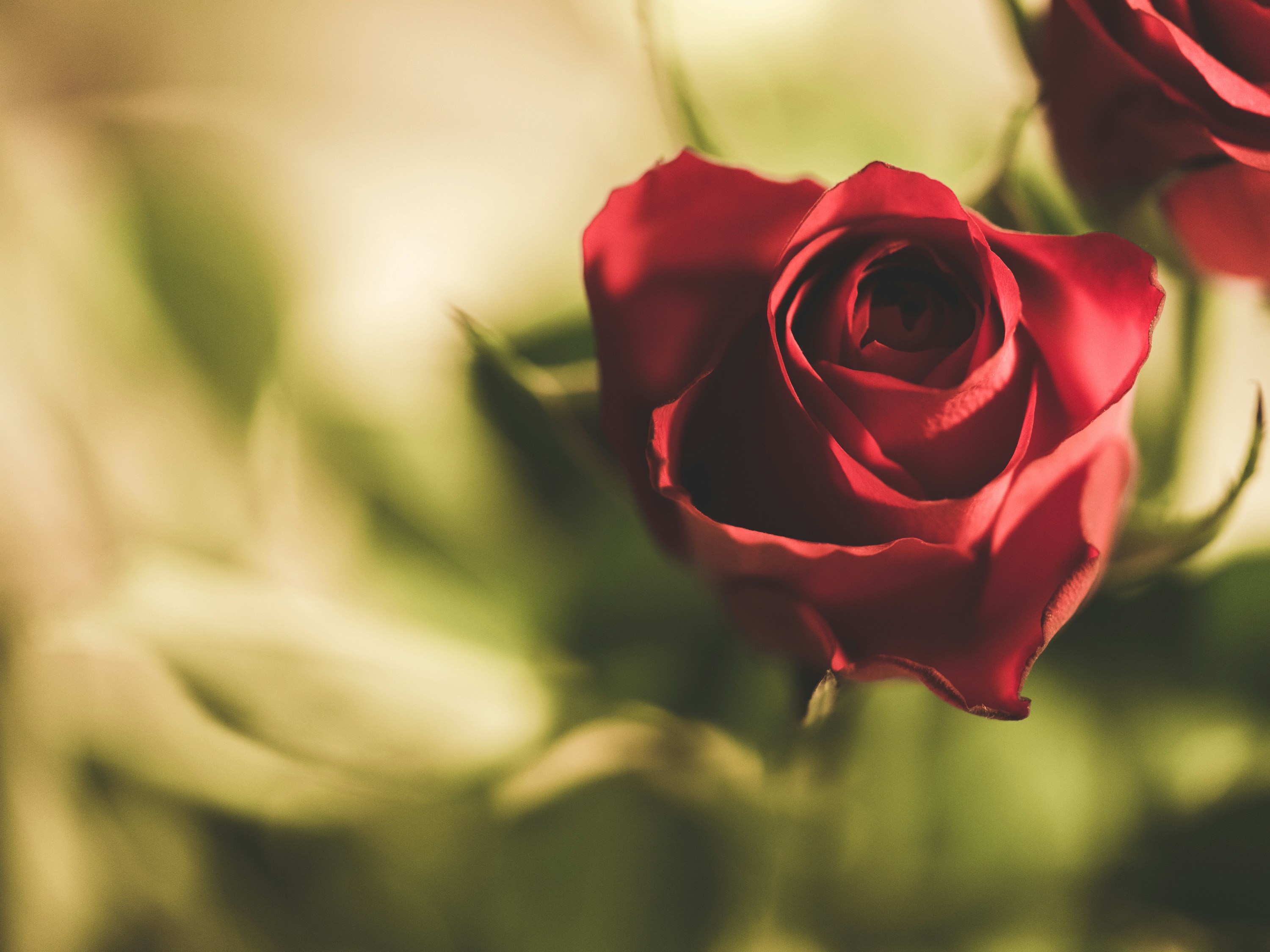 Photo by stockholmparis