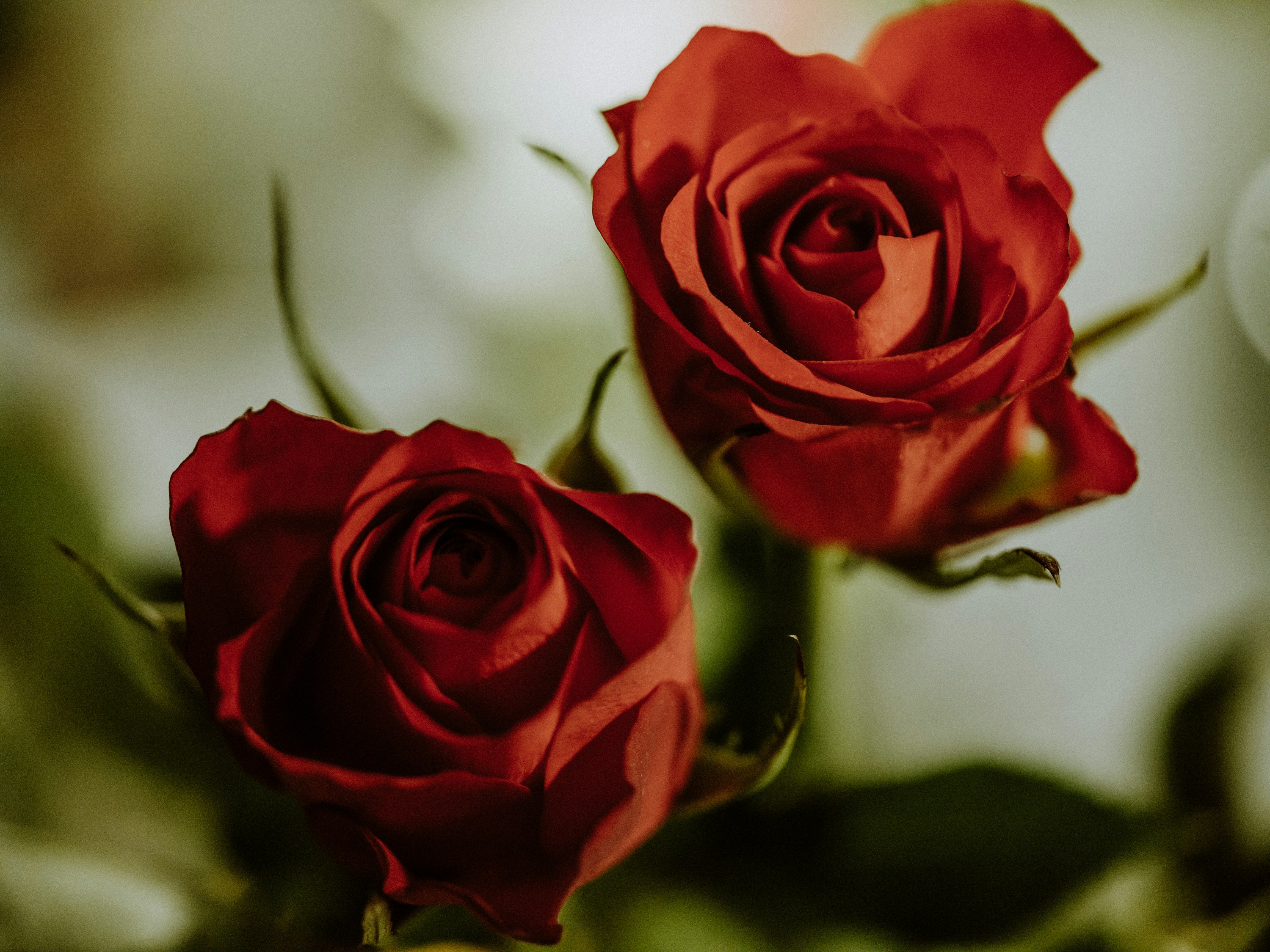 Photo by stockholmparis