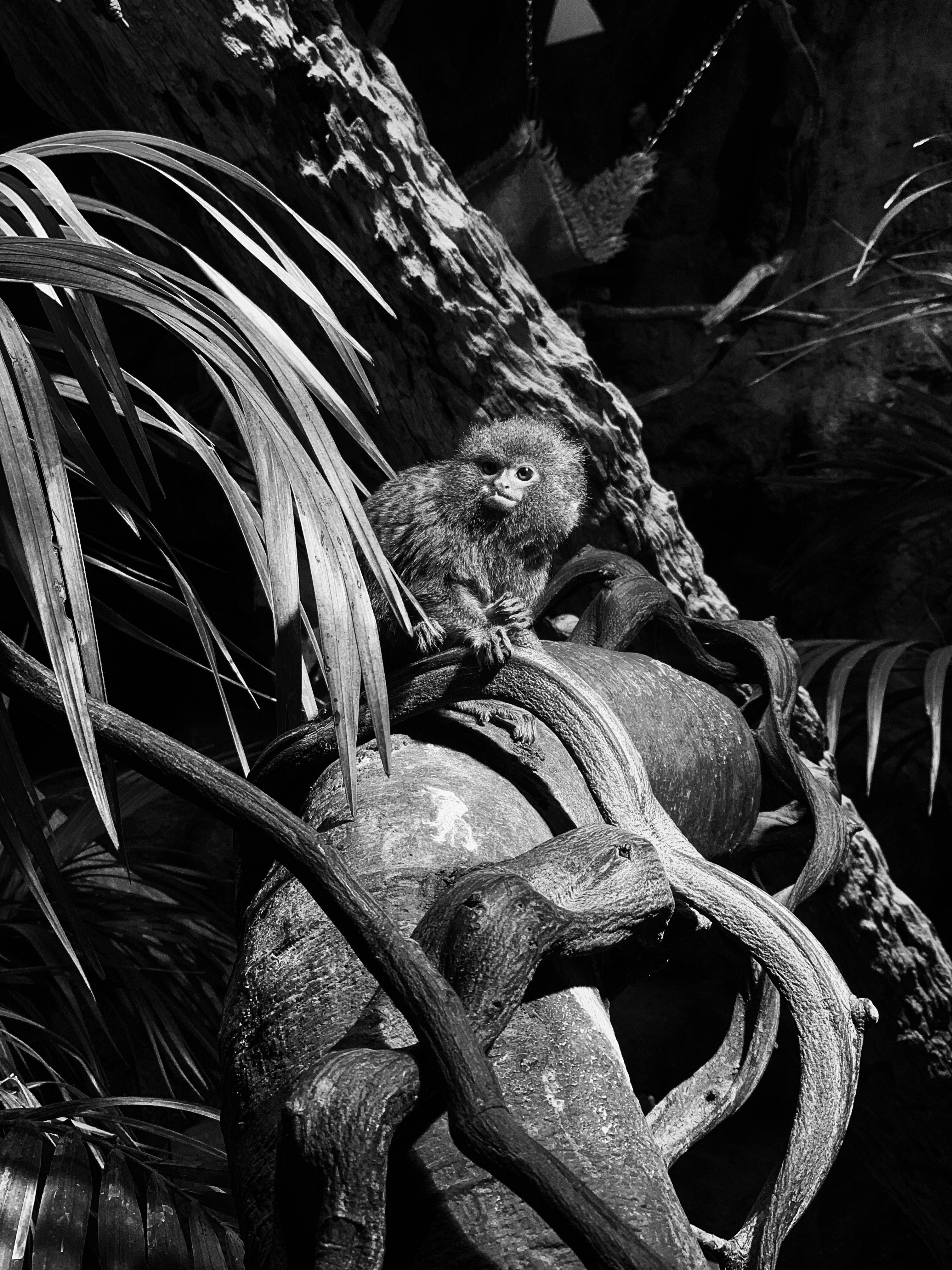 Photo by mehmetxkucukler