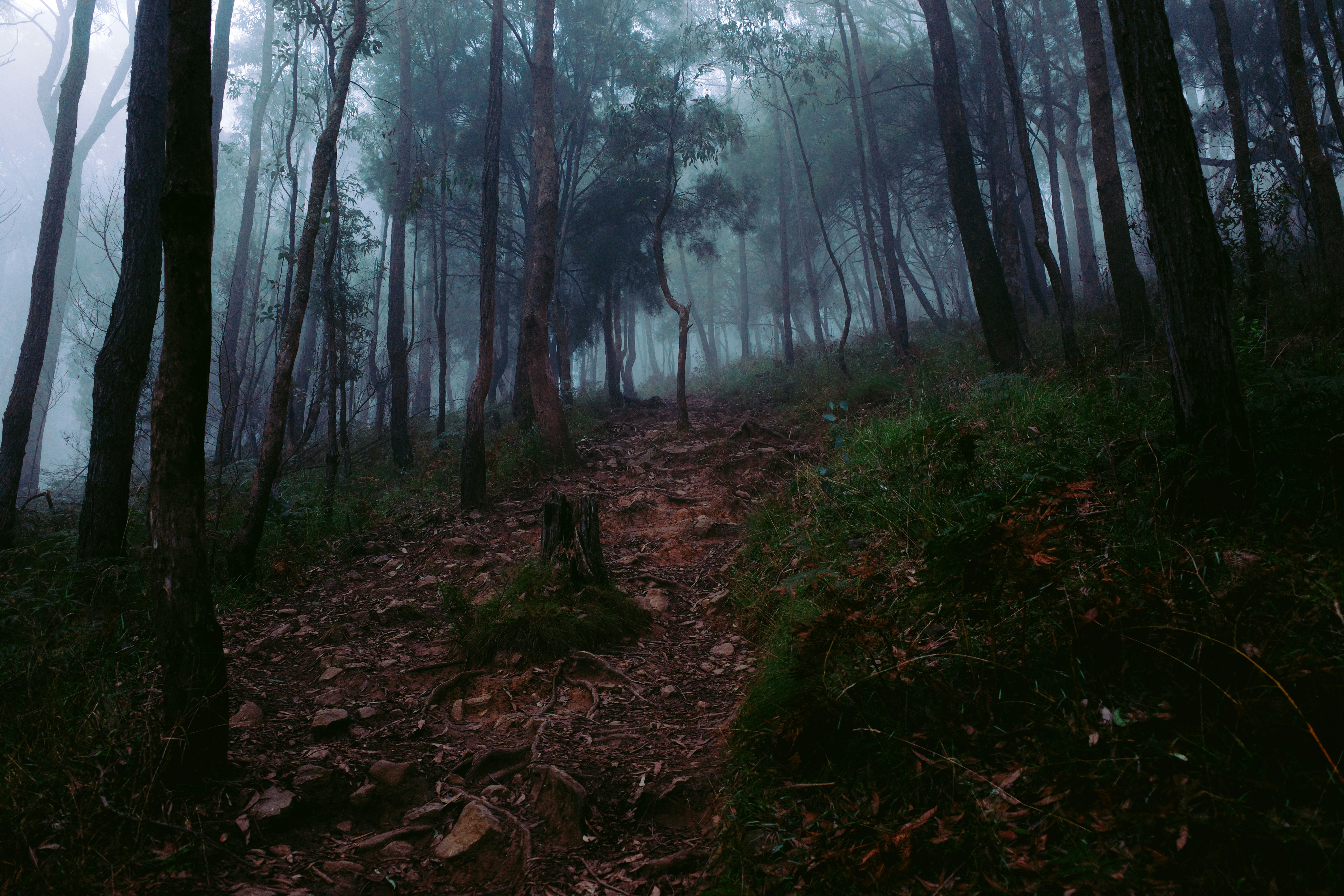 Photo by joshchiodo
