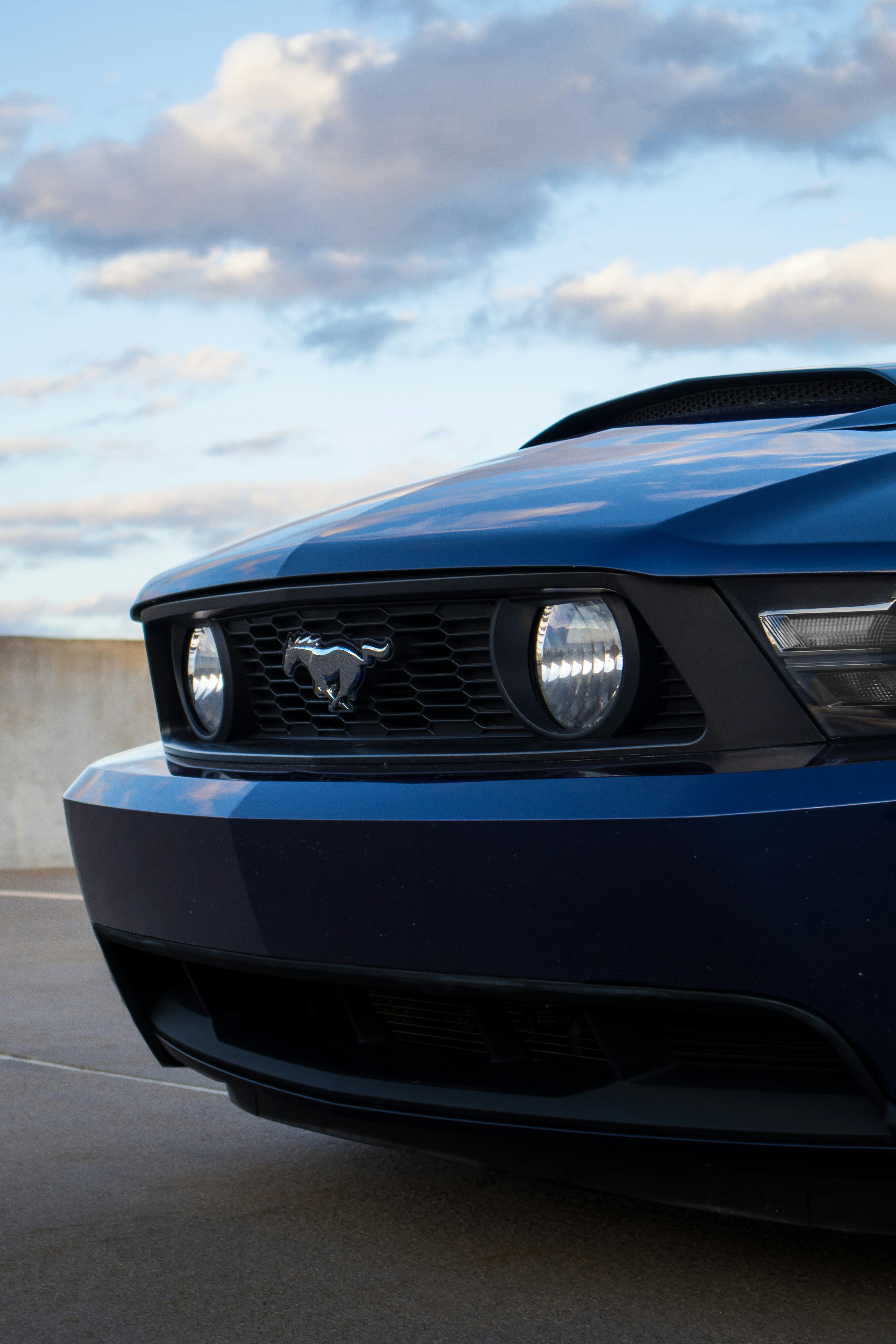 Blue mustang car grille with horse emblem