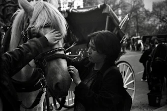 A calm horse being gently loaded into a secure transport vehicle outside a veterinary clinic.