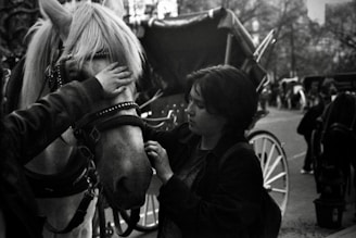 A person gently pats a horse that is part of a carriage setup. The scene takes place on a street with additional carriages visible in the background. The setting appears calm and intimate, captured in black and white.