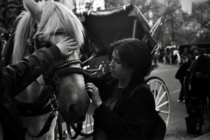 Warm-toned photo of a horse being gently loaded into a transport vehicle.