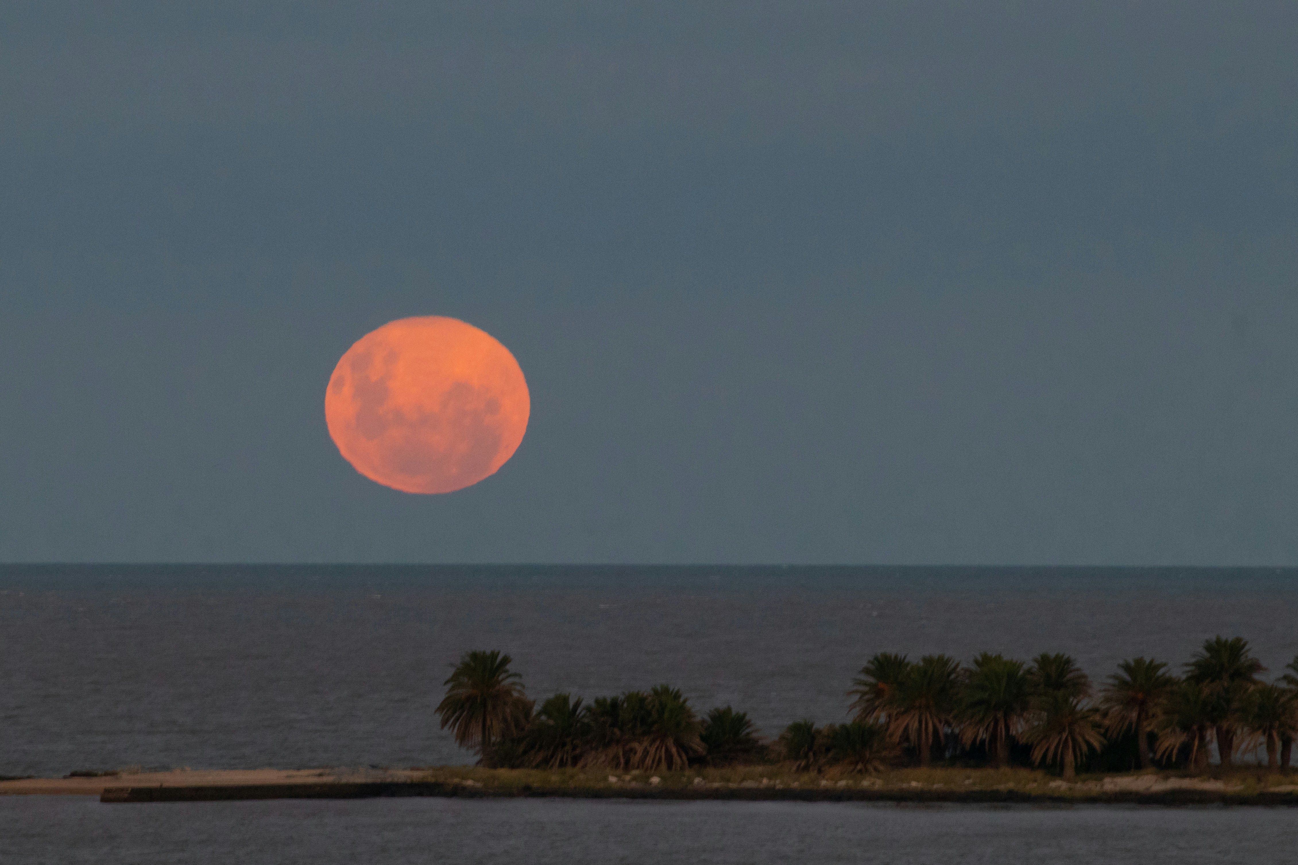 Photo by sonianadales