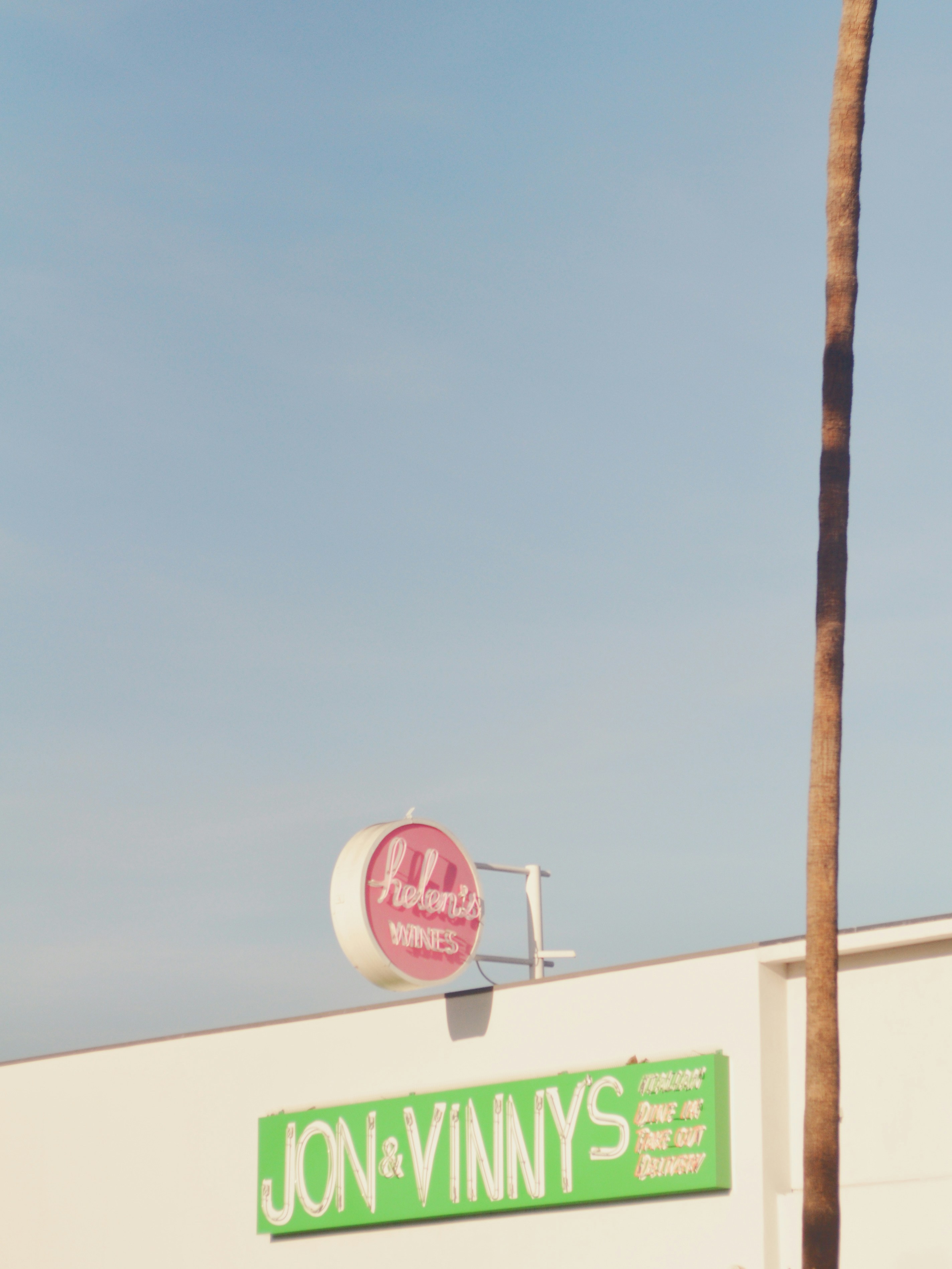 a storefront with a palm tree in front of it