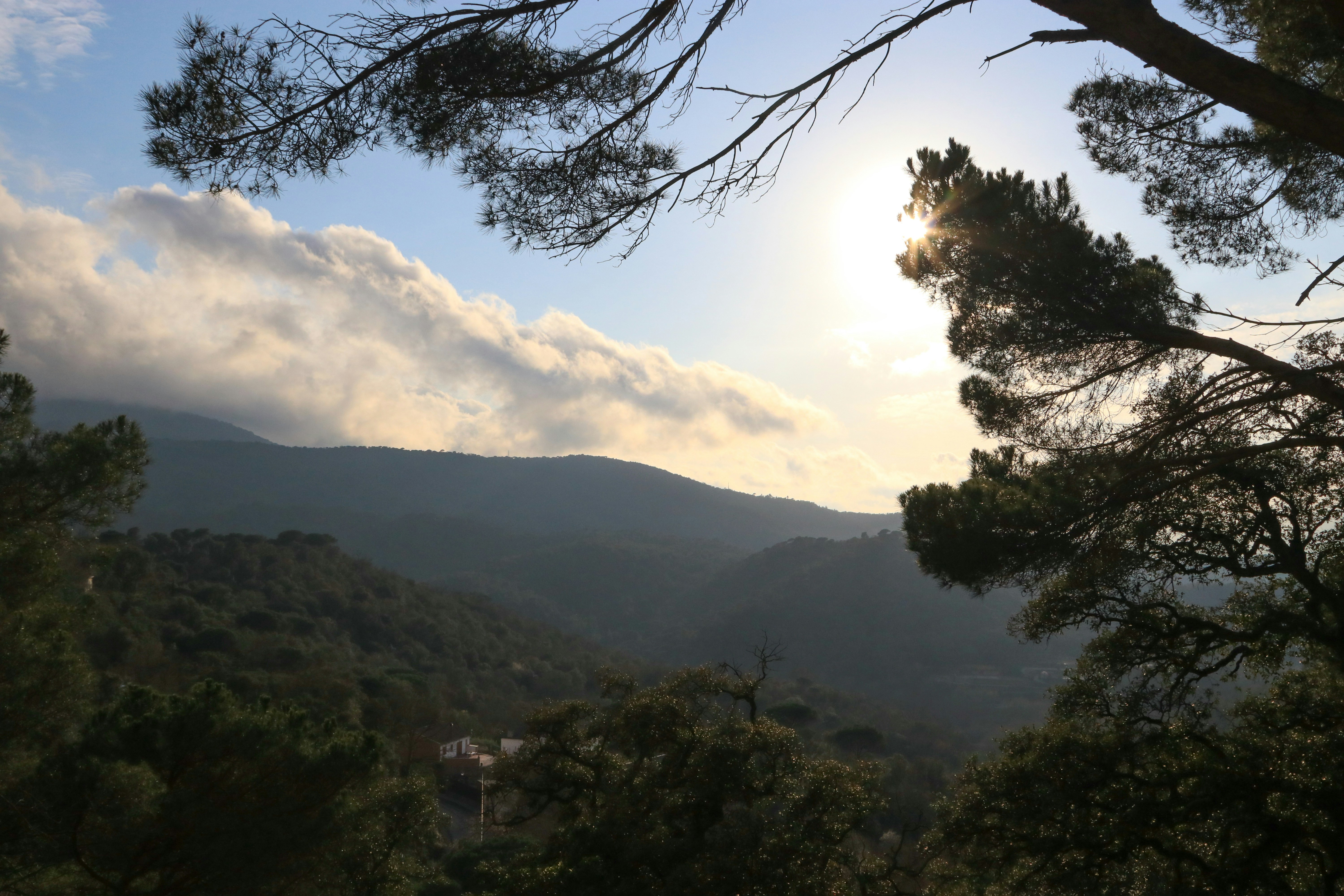 Photo by sonianadales