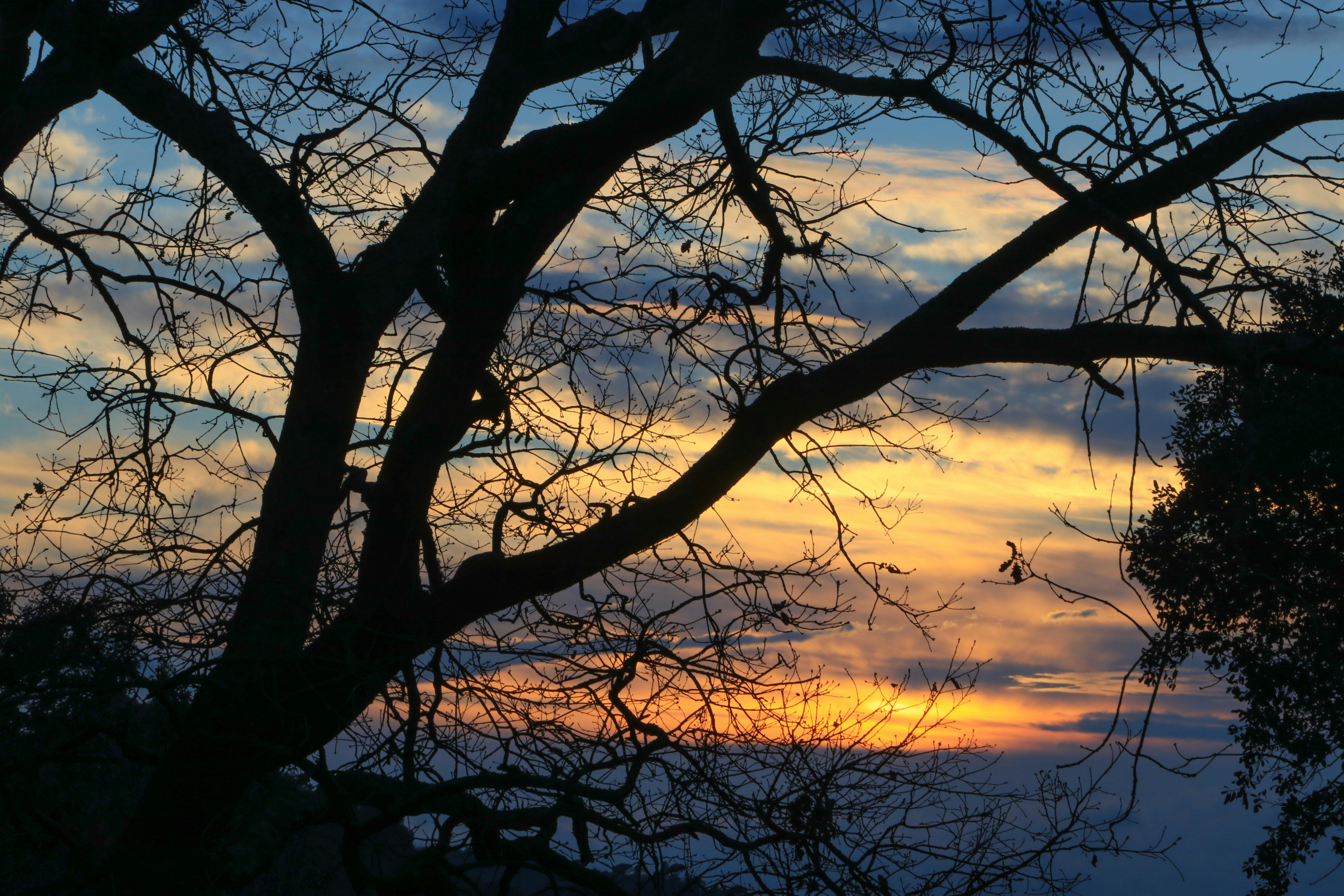 Photo by sonianadales