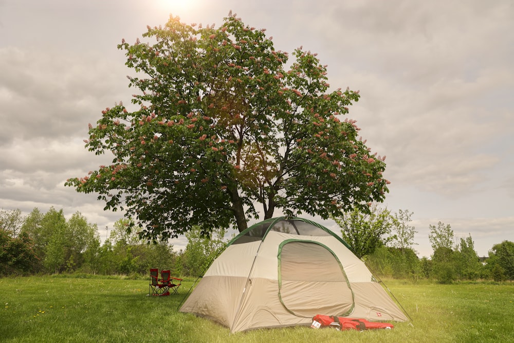 a tent set up in the grass under a tree