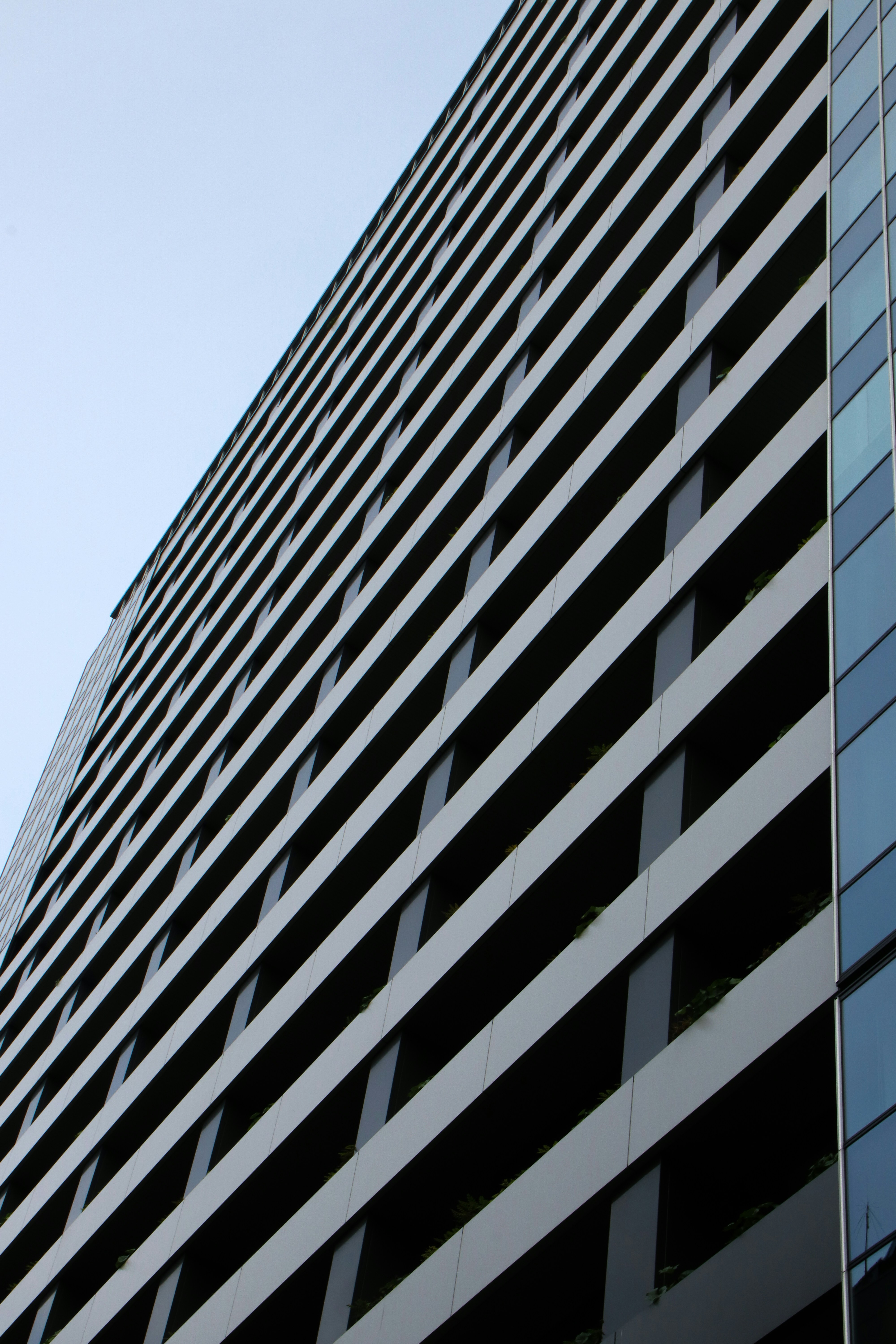 Photo by hiroyukisenn