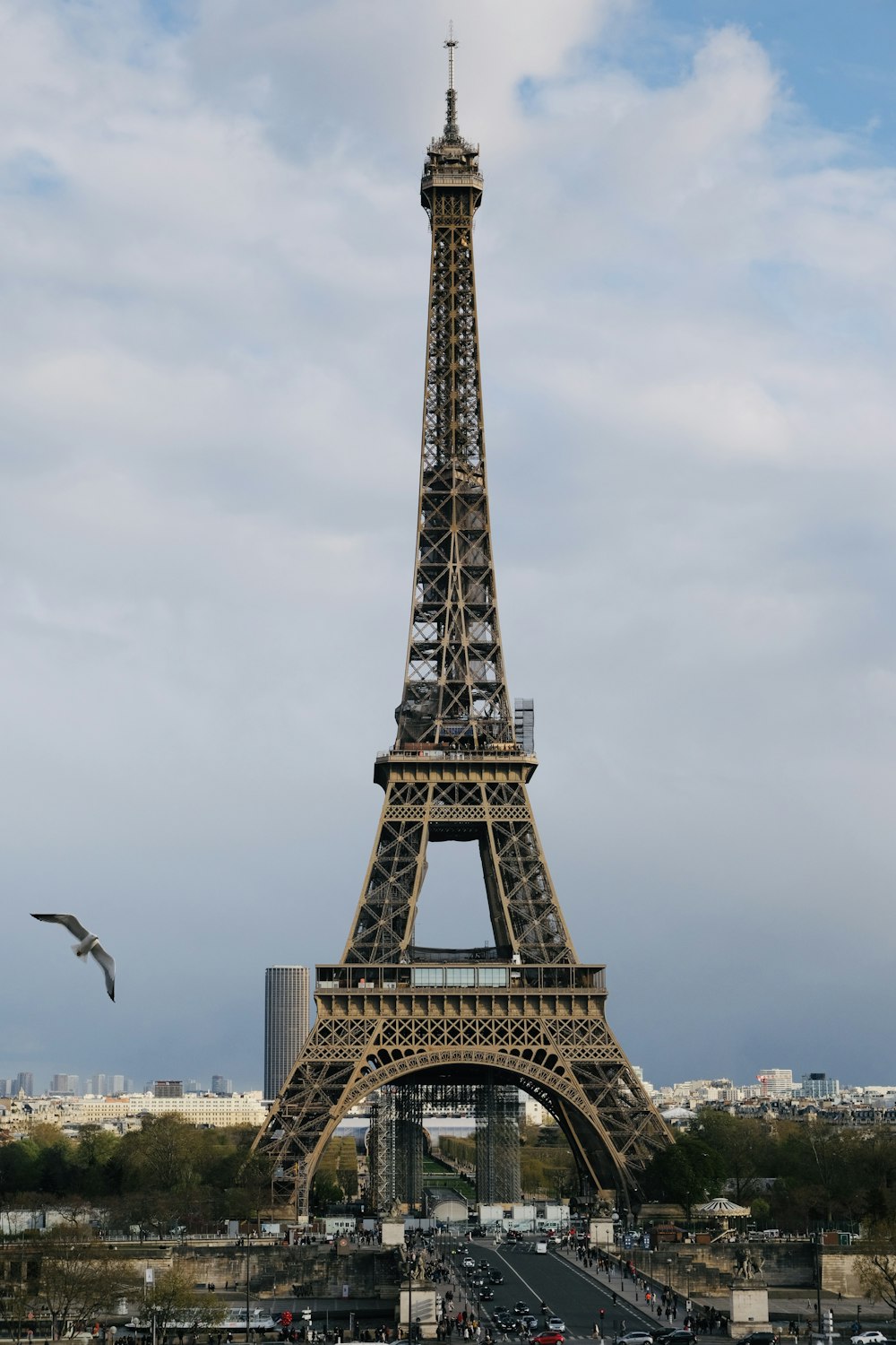 the eiffel tower towering over the city of paris