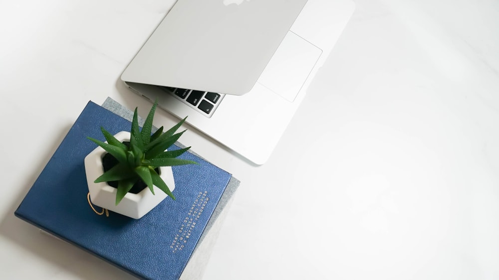 a laptop computer sitting on top of a desk next to a plant