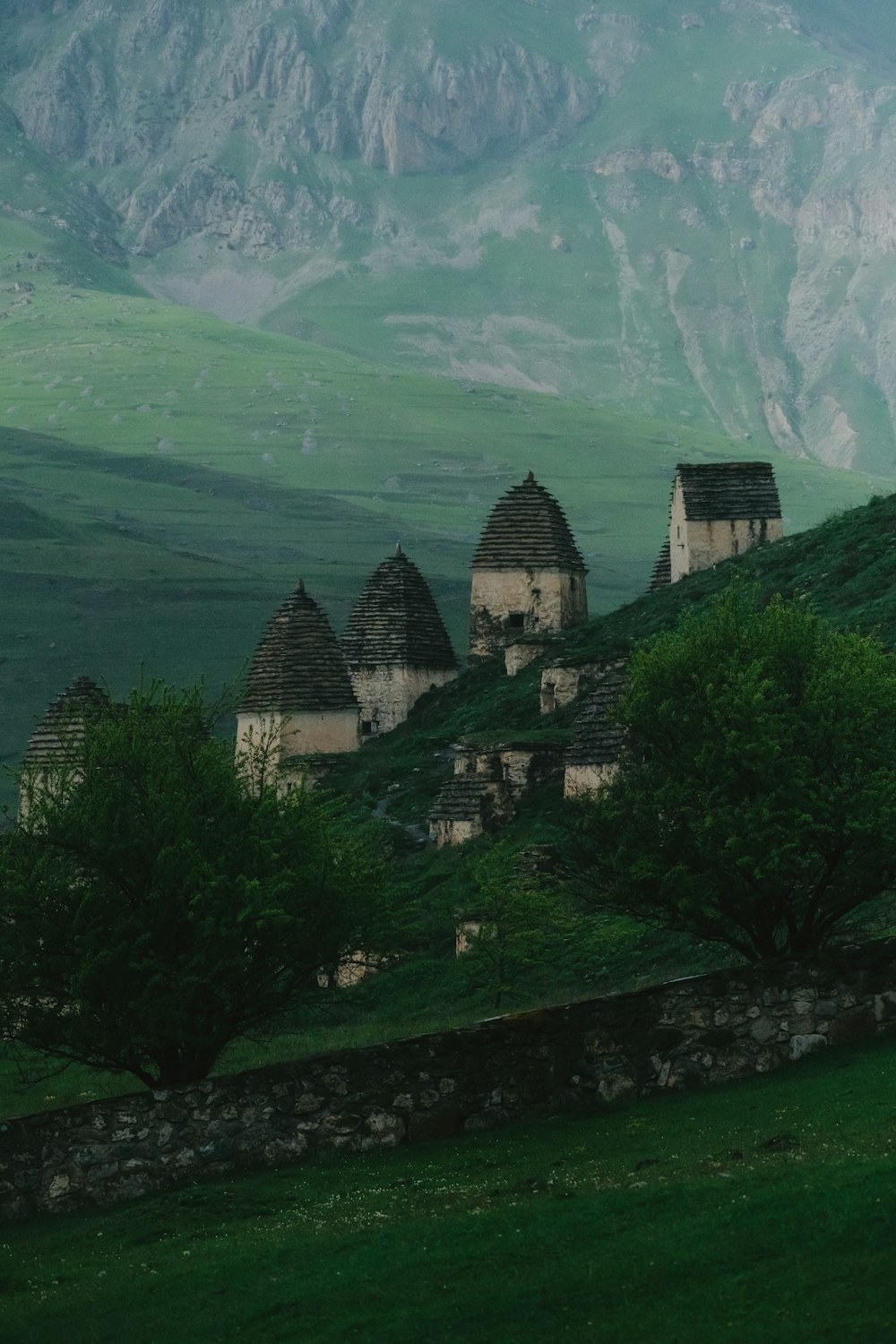 a group of houses on a hill with mountains in the background