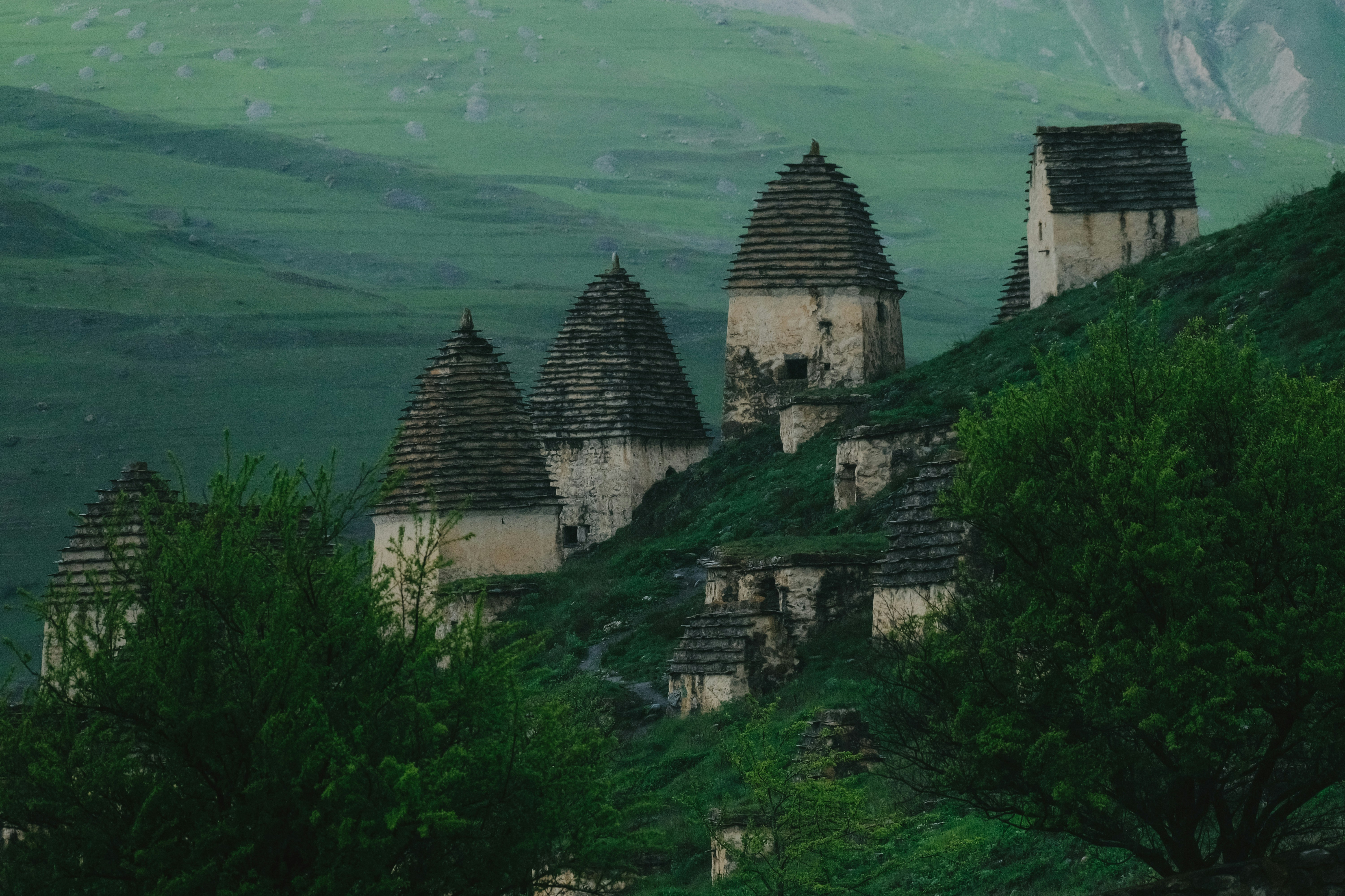 a group of buildings sitting on top of a lush green hillside