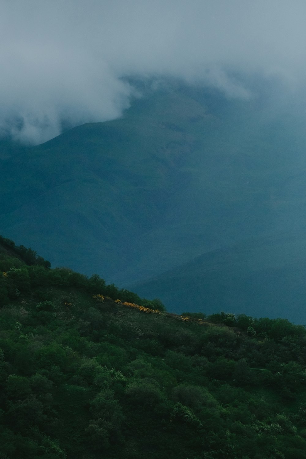 a mountain with a few trees on the side of it