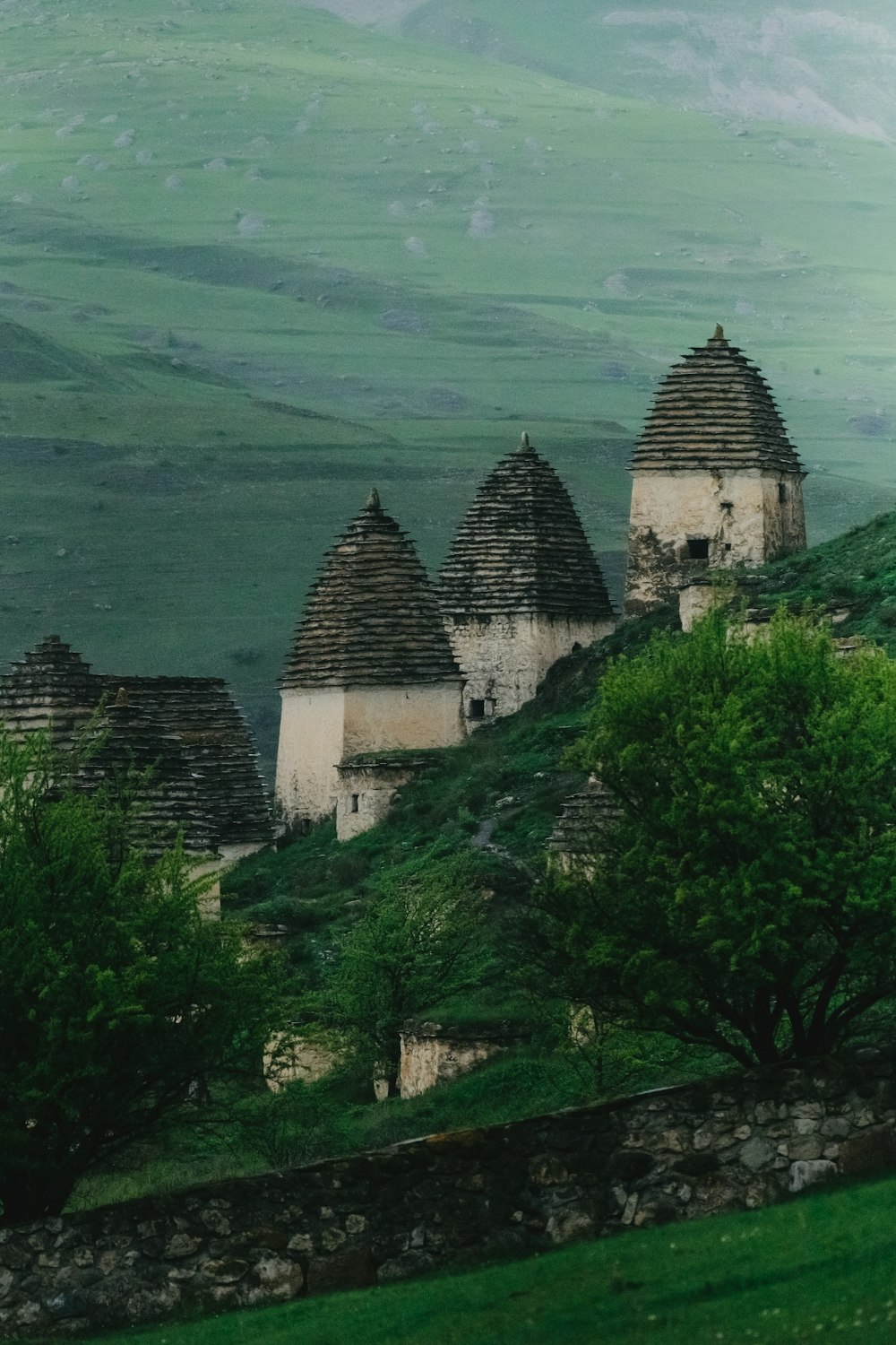 a group of buildings sitting on top of a lush green hillside