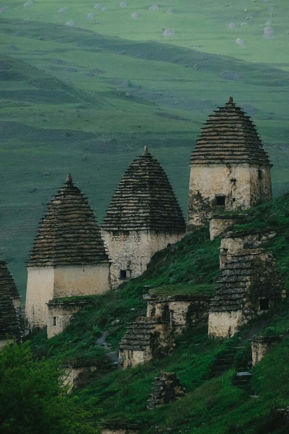 a group of buildings sitting on top of a lush green hillside