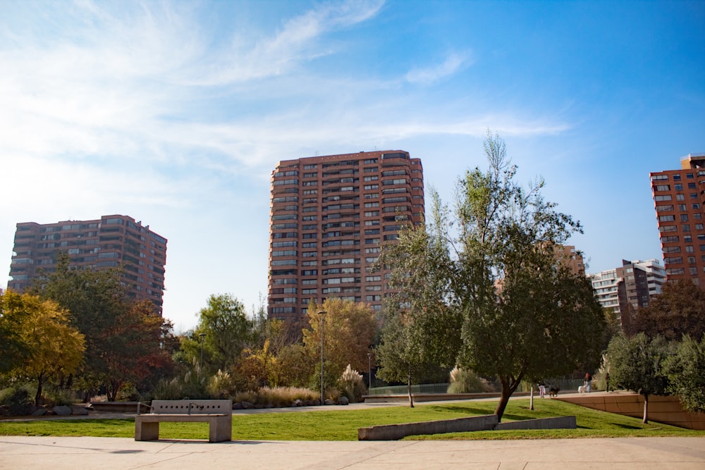 a couple of benches sitting in the middle of a park