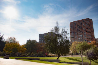 a park with trees and buildings in the background
