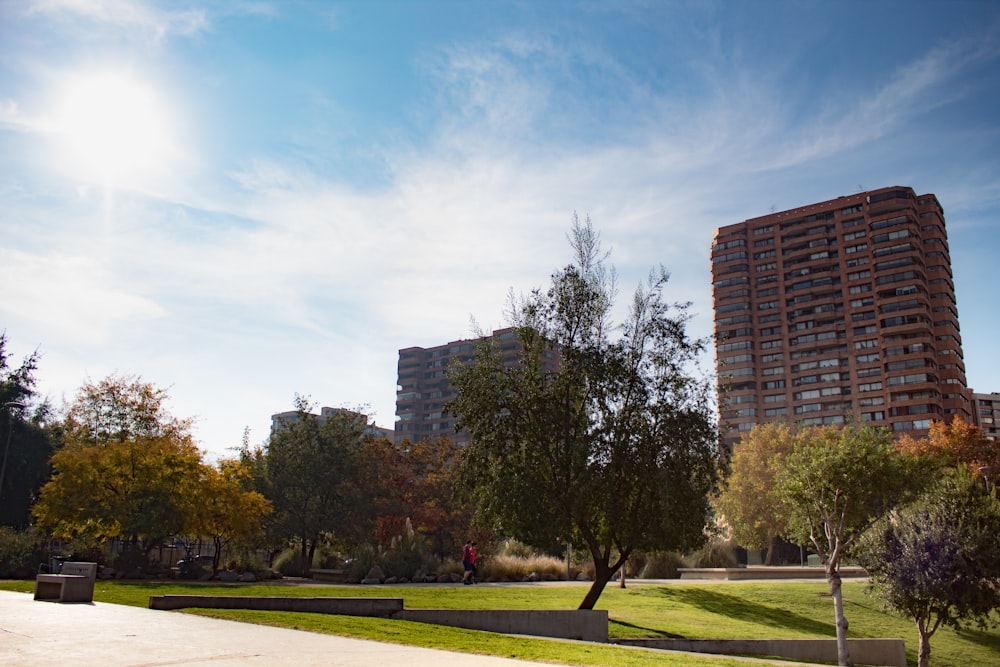 a park with trees and buildings in the background