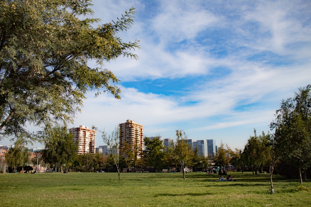 a large grassy field with trees and buildings in the background