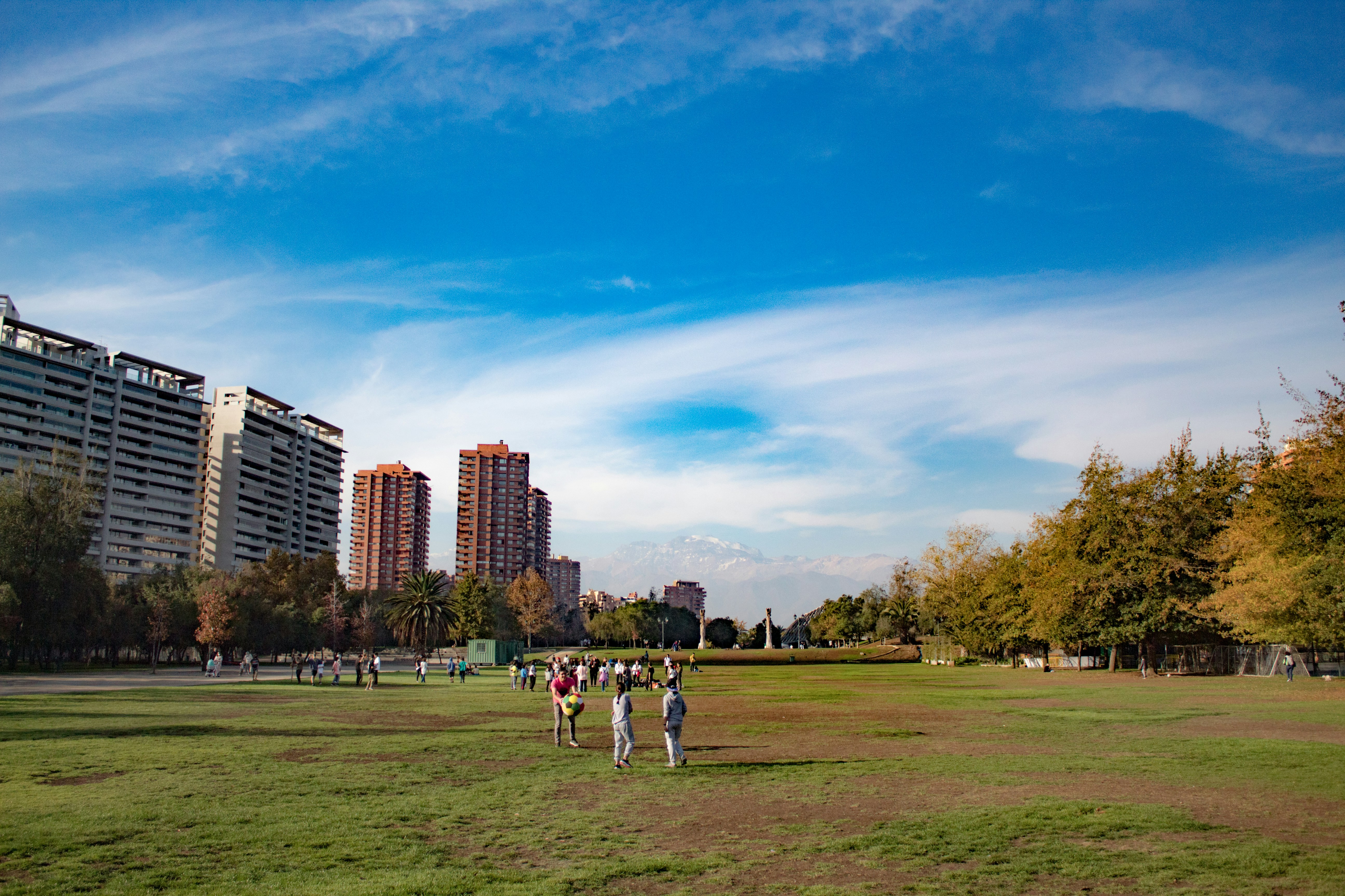 a group of people standing on top of a lush green field