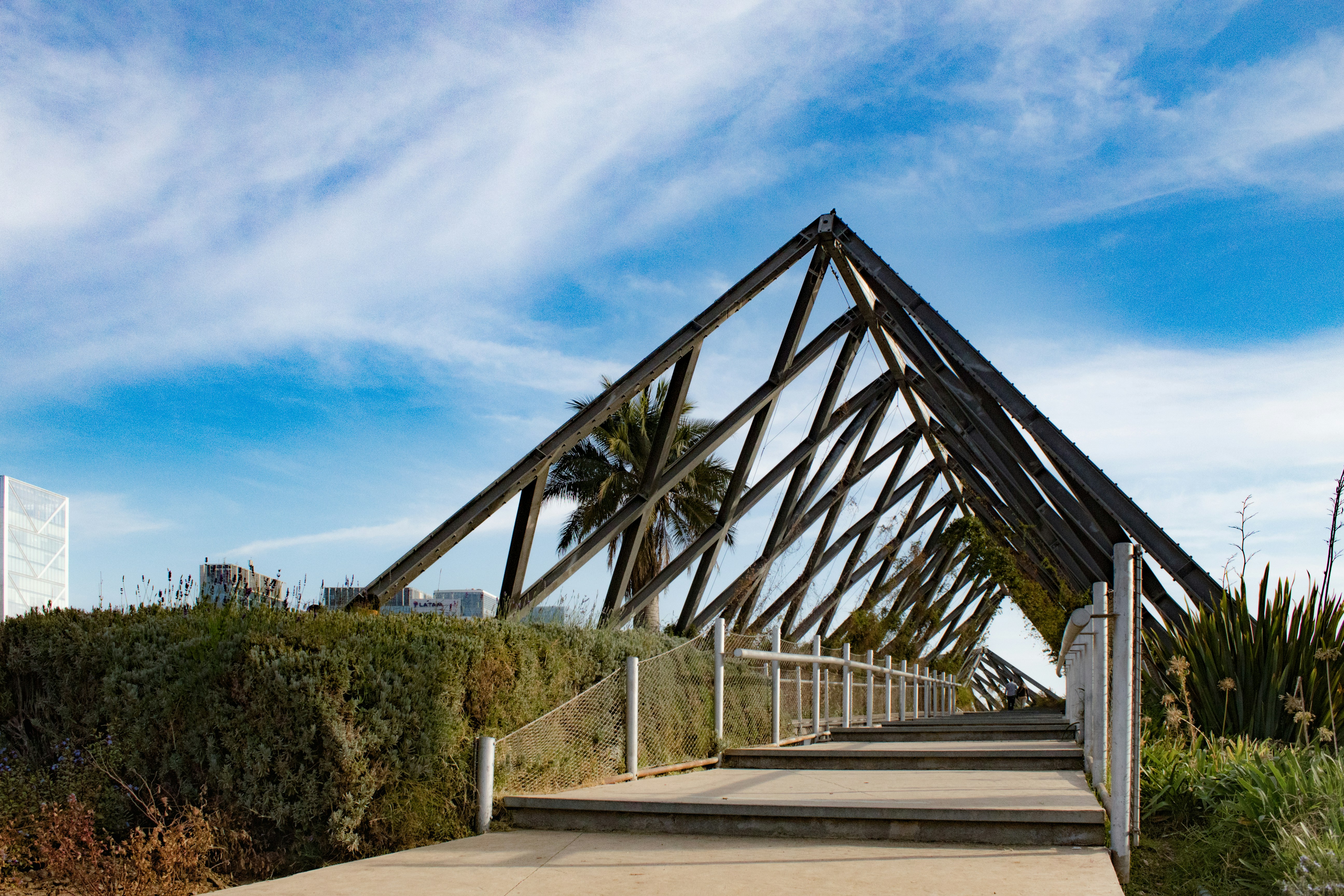 Palmer Cove Park