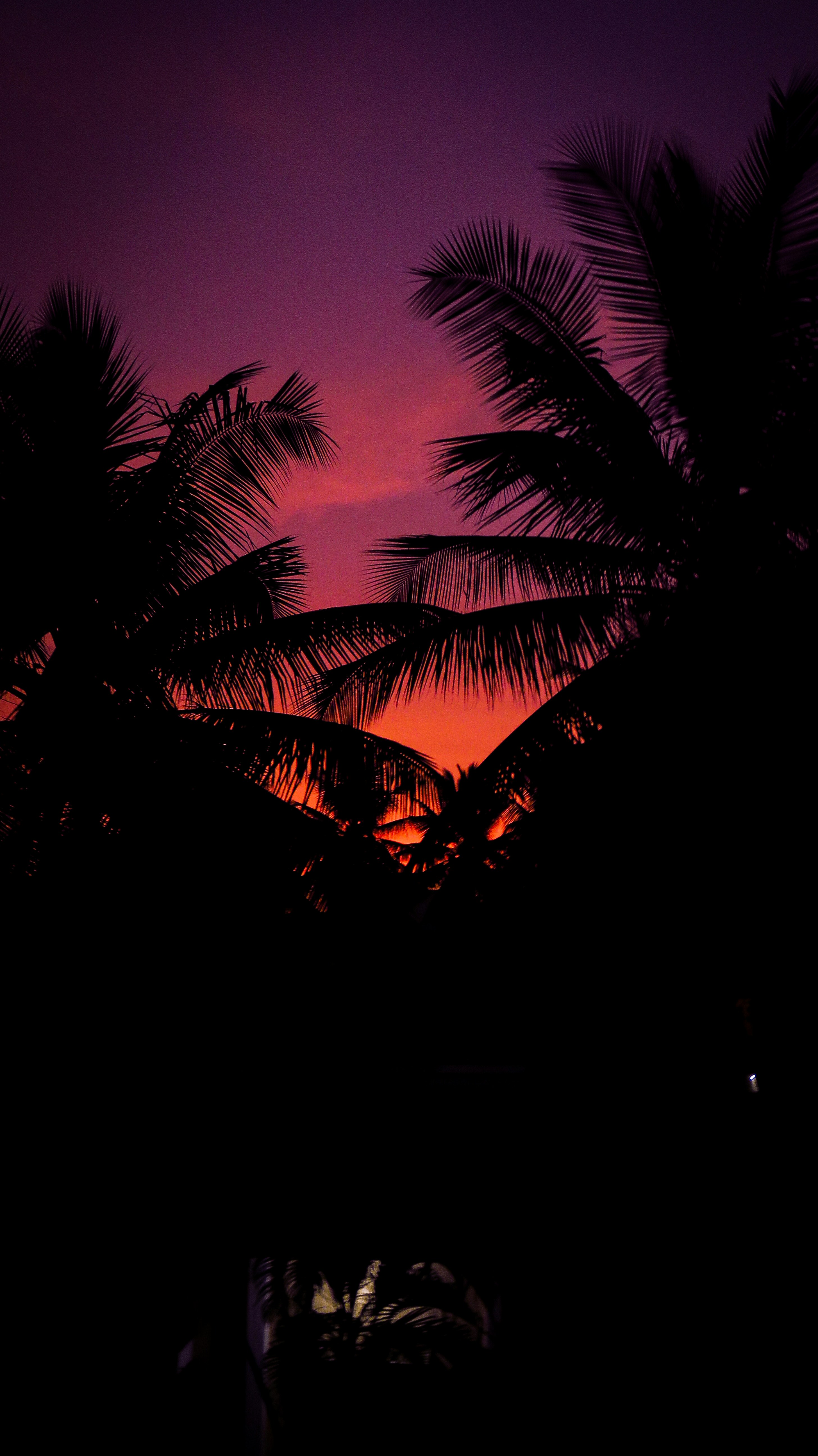 Photo by jason_williams__09