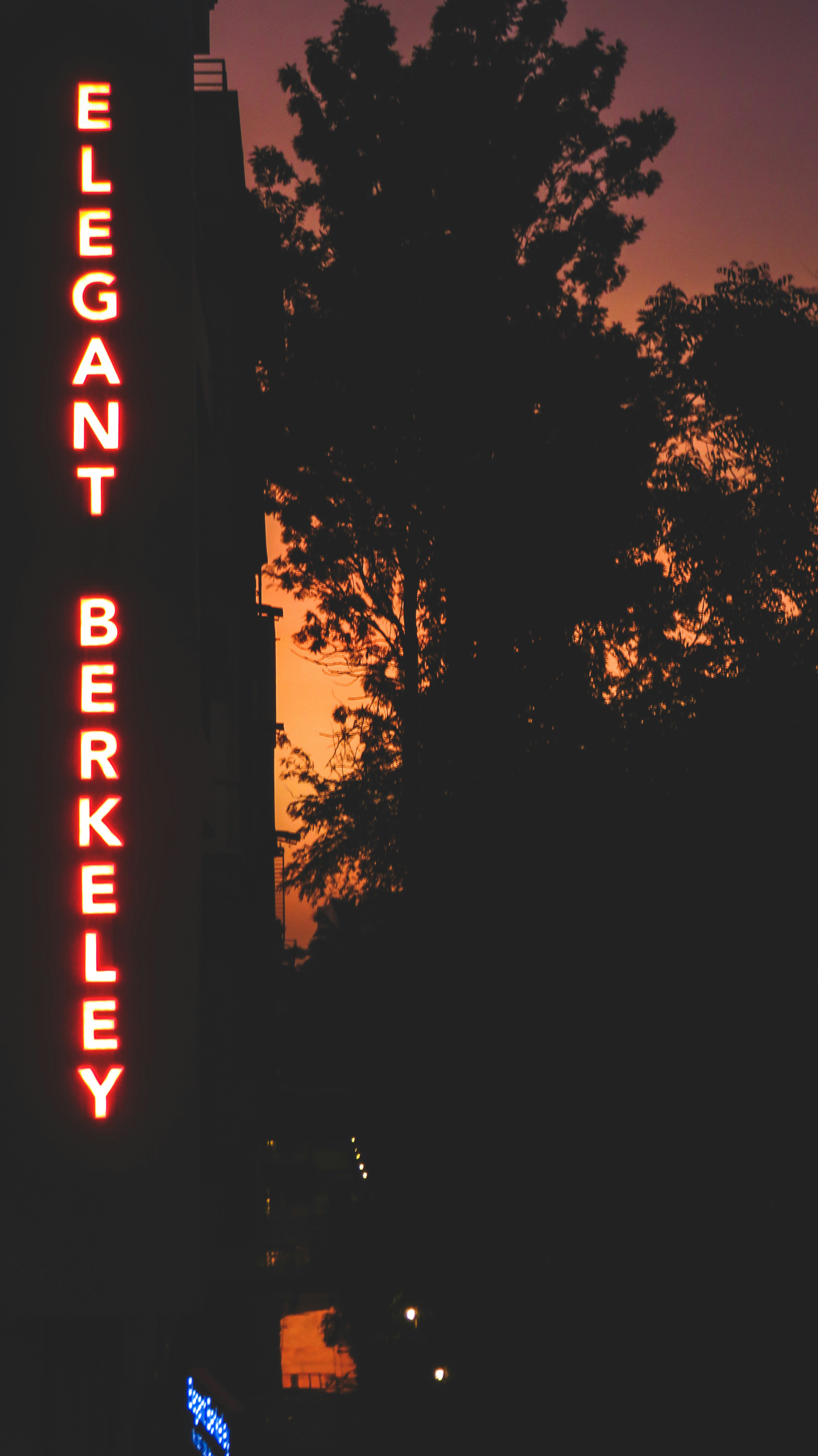 Savoring Health & Happiness: A Deep Dive into Berkeley Pizza Restaurants